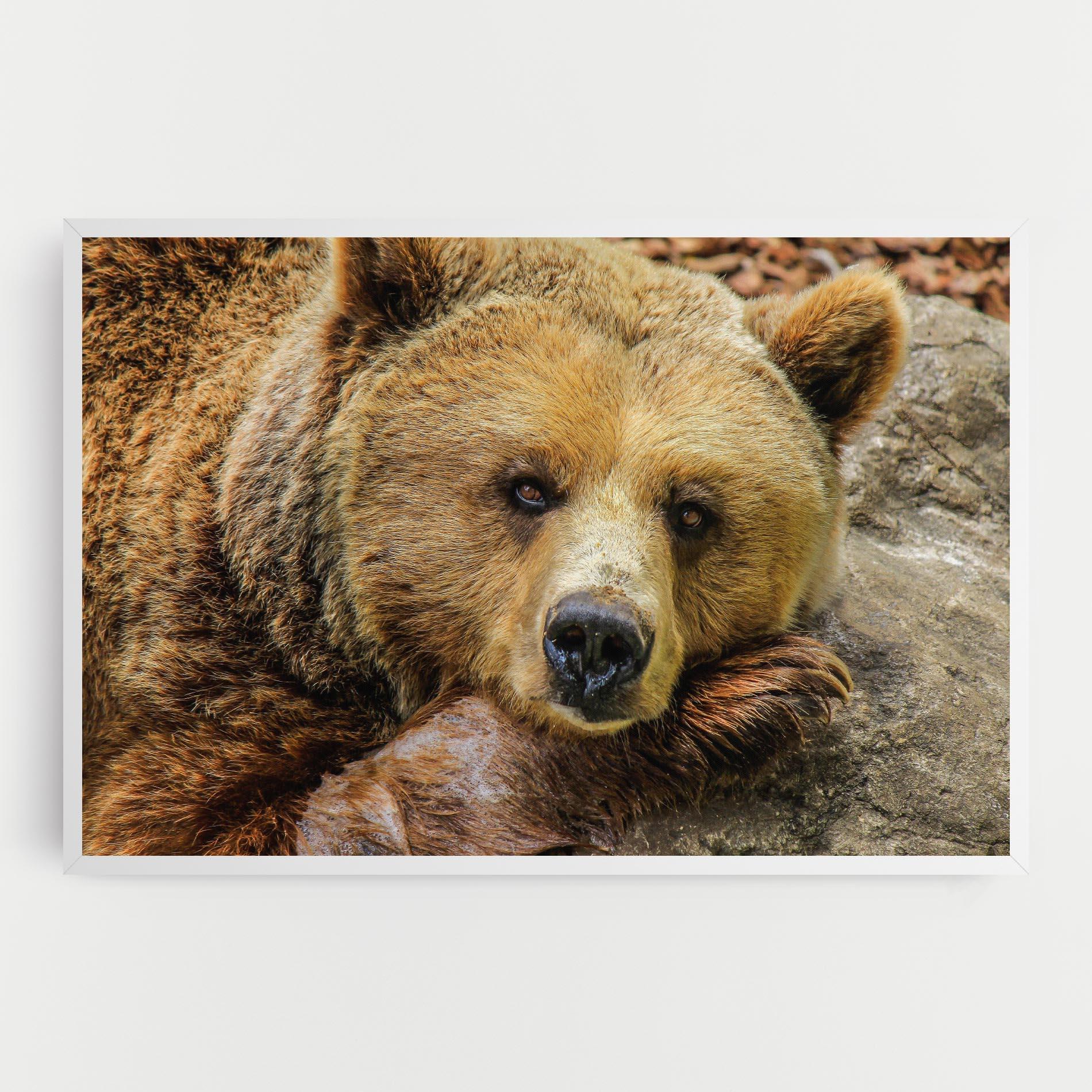 Leinwandbild Bear mockup 0