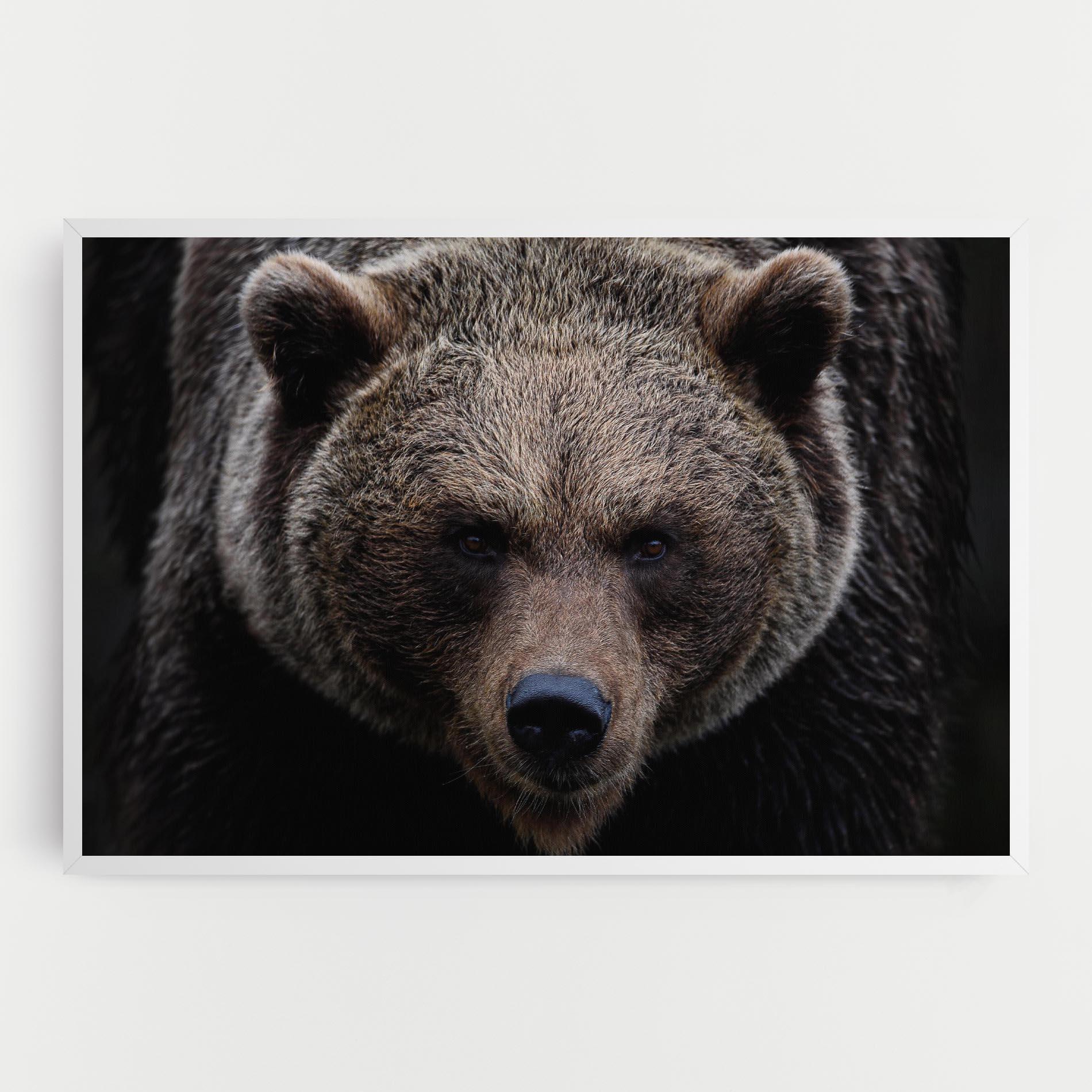 Leinwandbild Brown Bear mockup 0