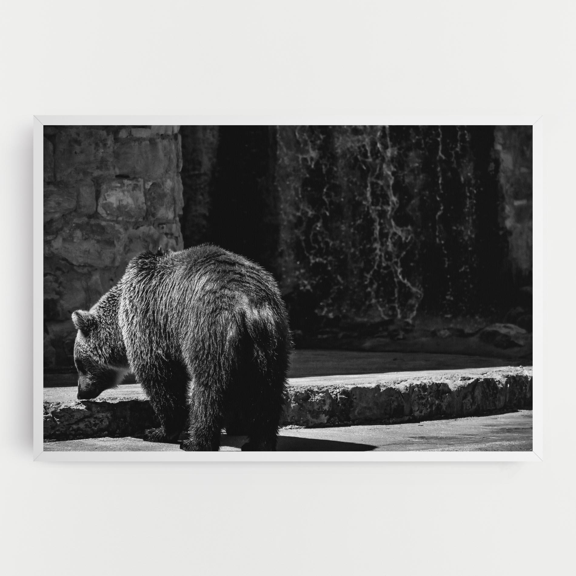 Leinwandbild Grey Bear mockup 0