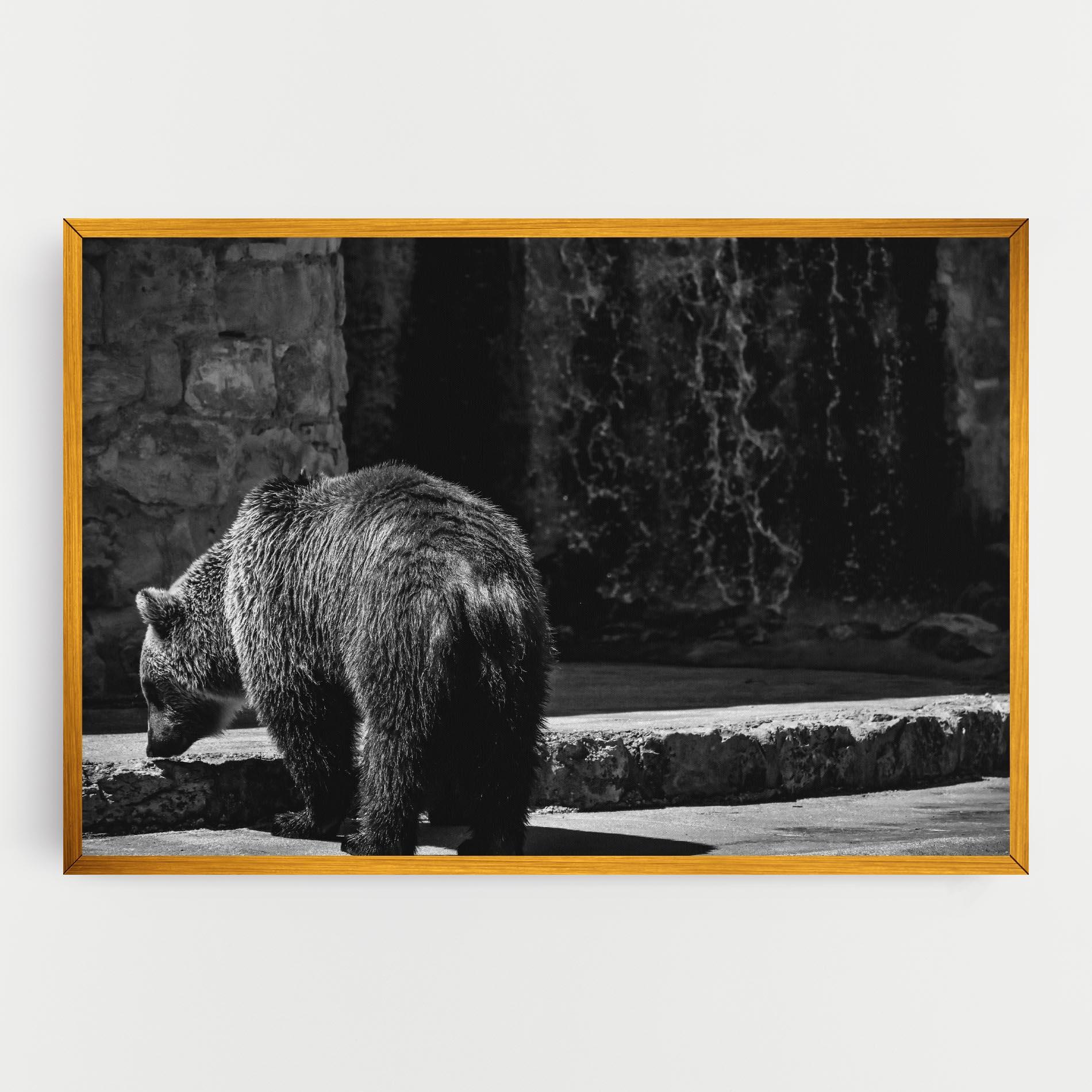 Leinwandbild Grey Bear mockup 0