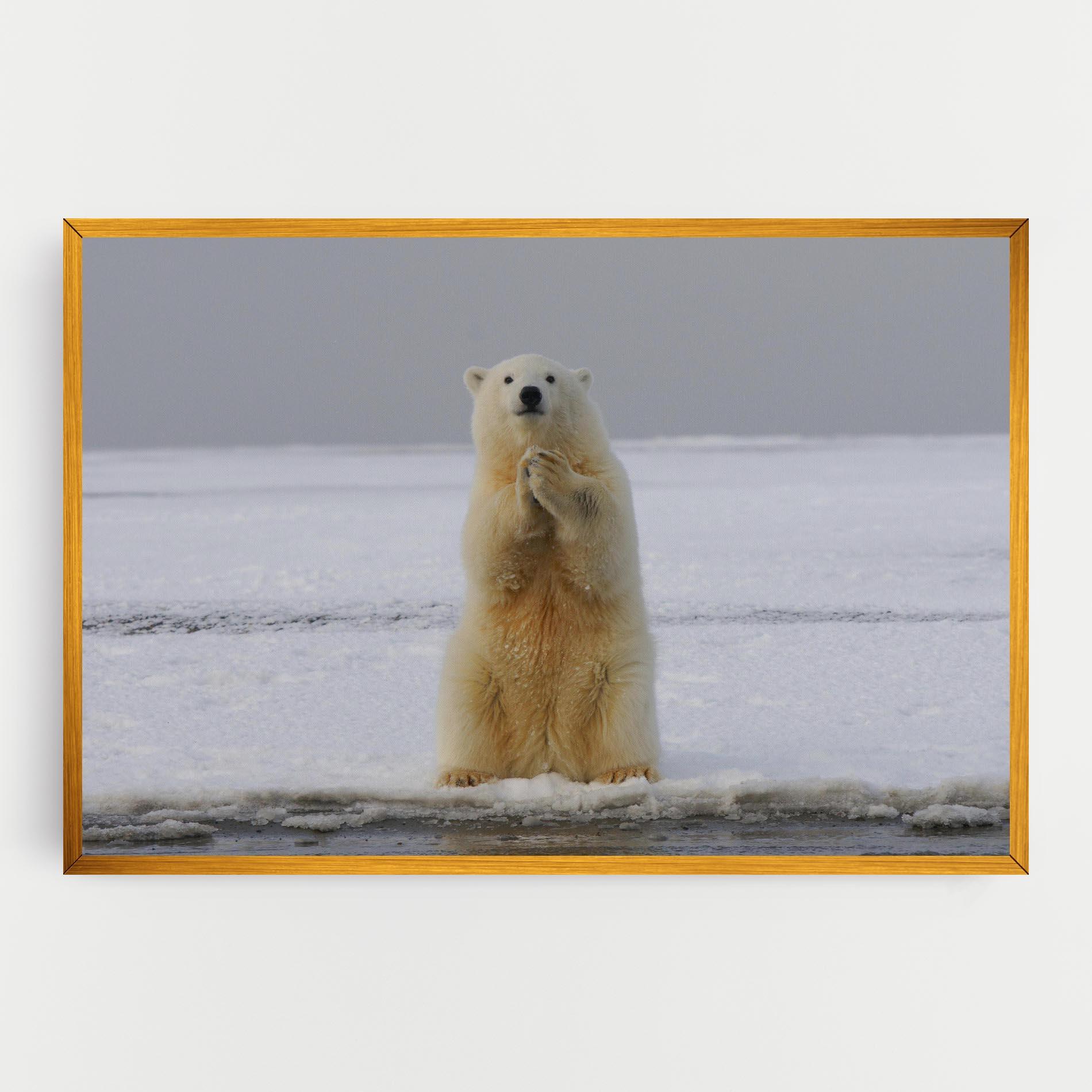 Leinwandbild Icebear Praying mockup 0