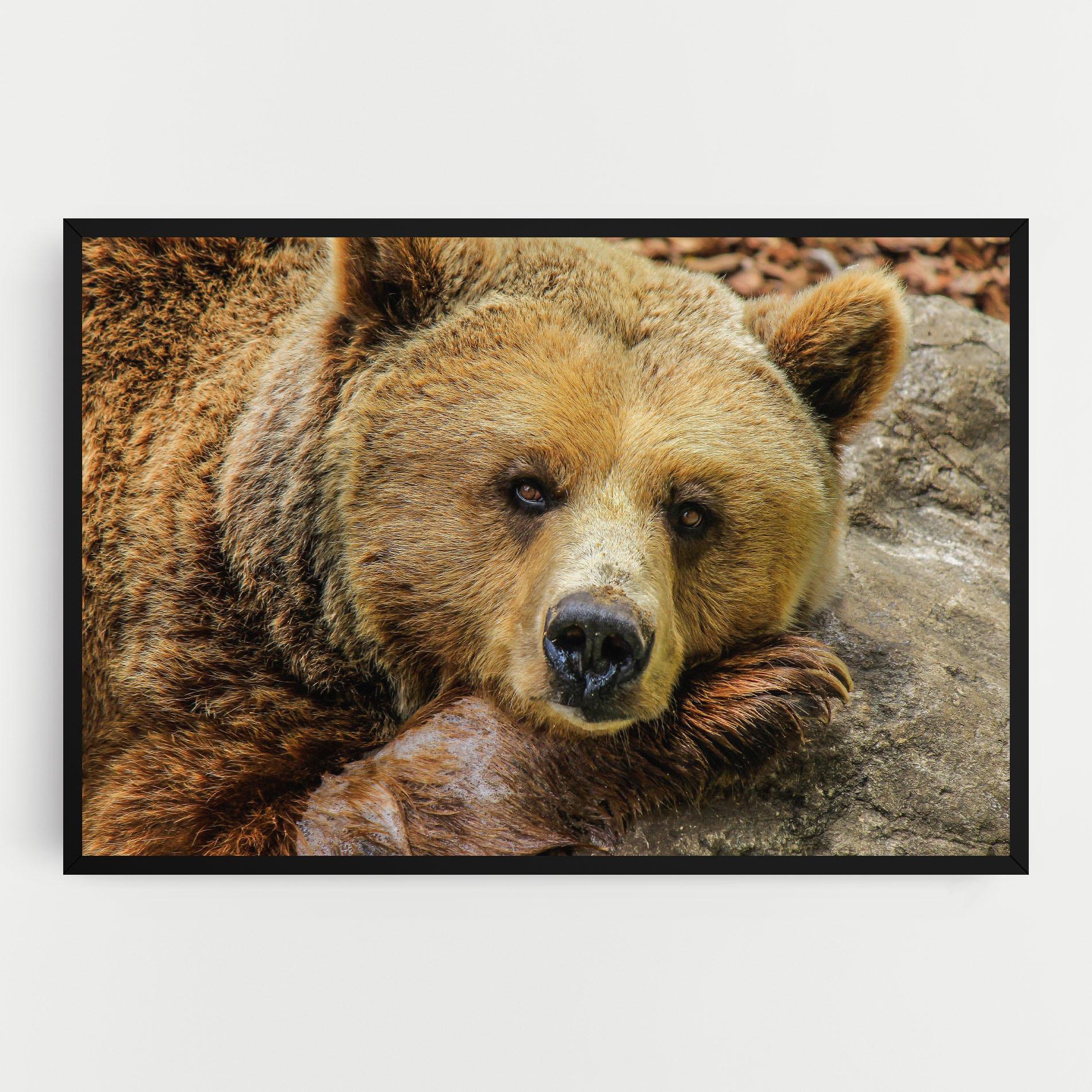 Leinwandbild Bear mockup 0