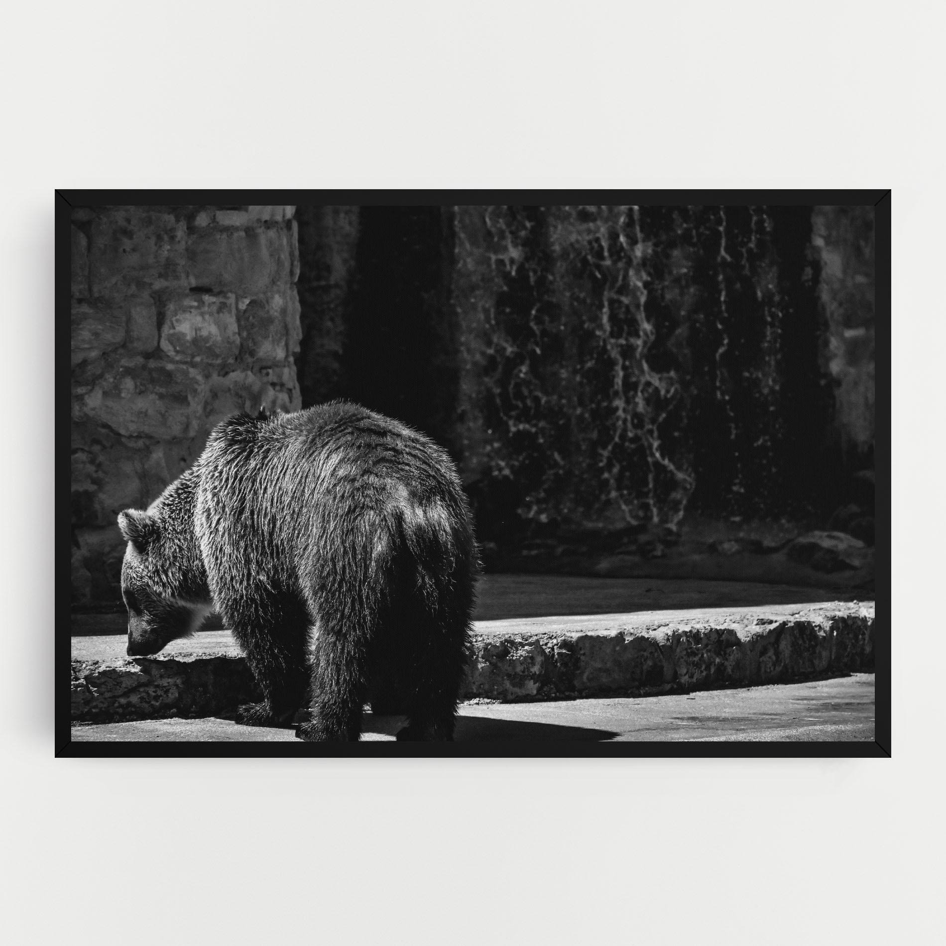 Leinwandbild Grey Bear mockup 0