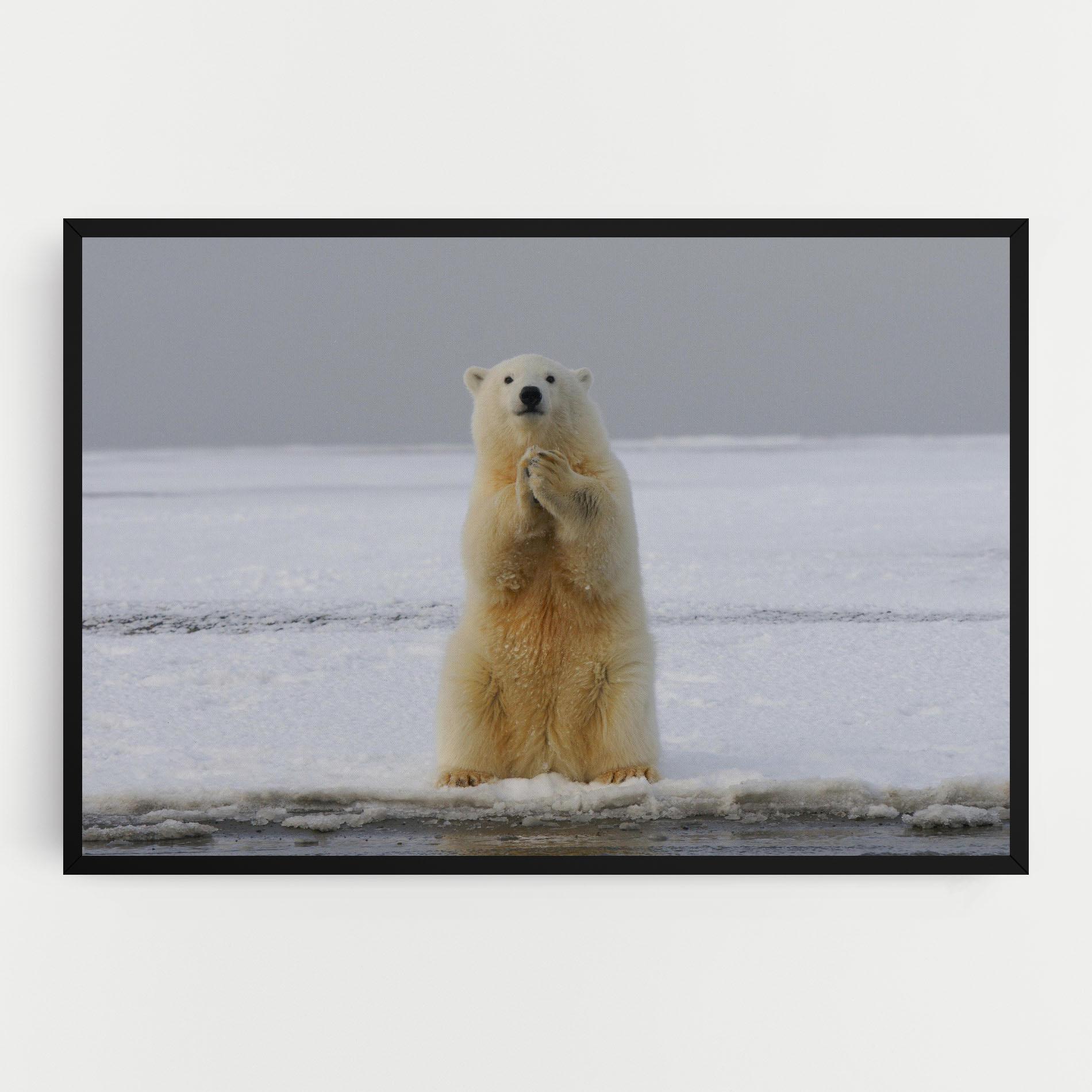 Leinwandbild Icebear Praying mockup 0