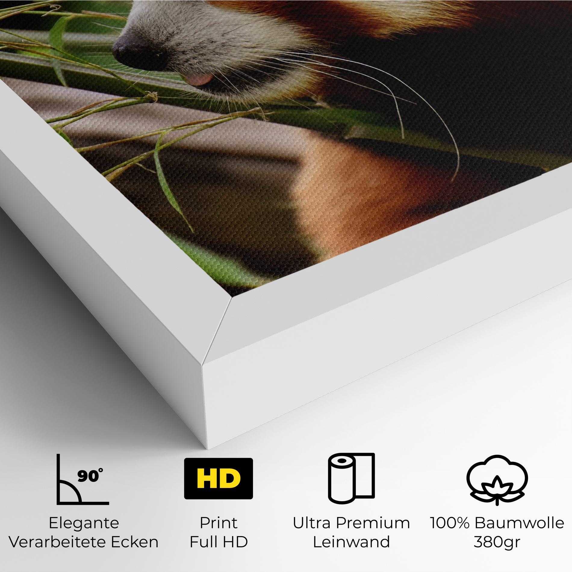 Leinwandbild Cute Red Panda mockup 4