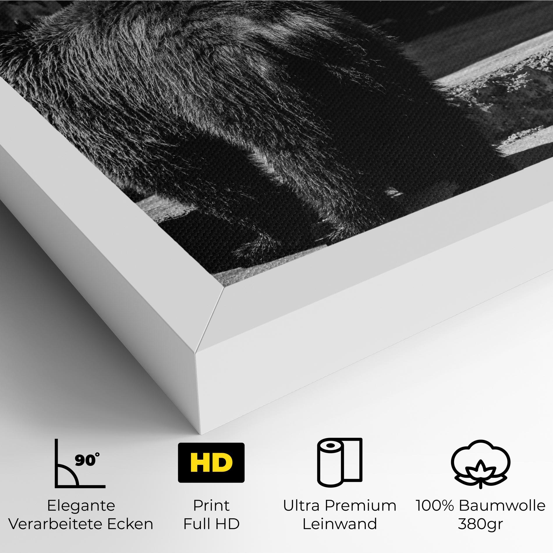 Leinwandbild Grey Bear mockup 4