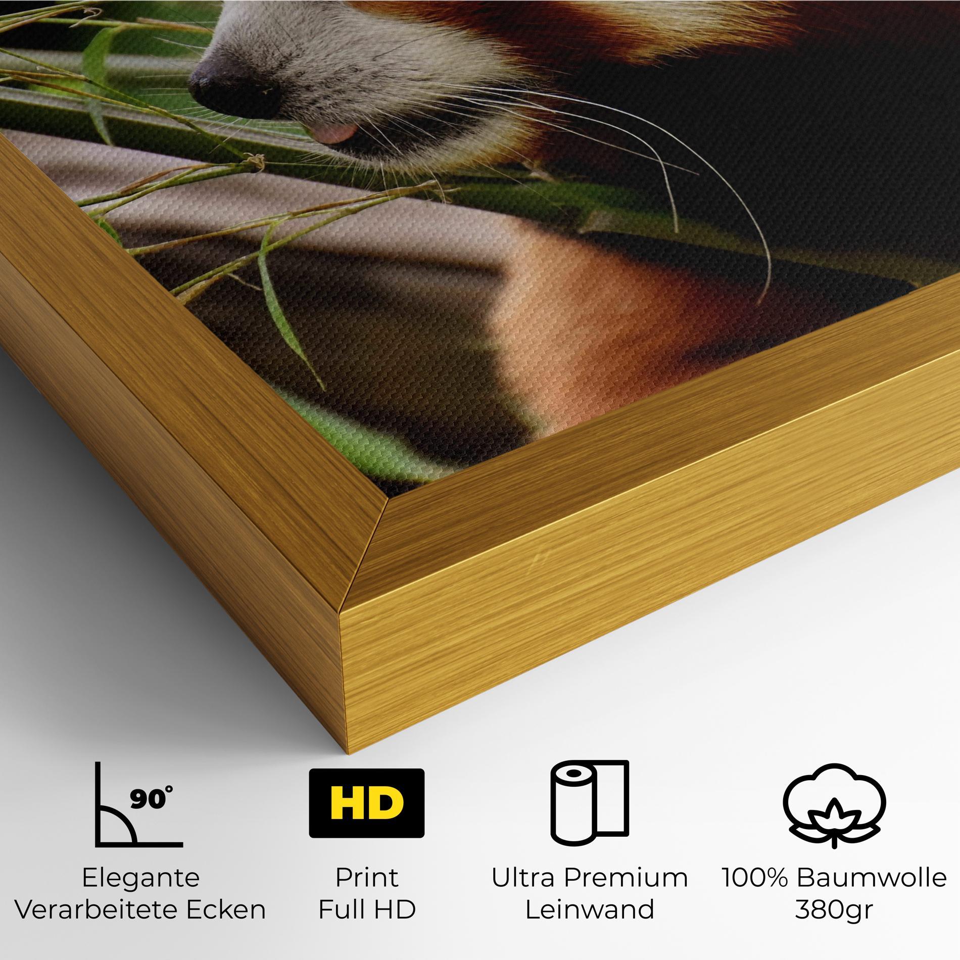 Leinwandbild Cute Red Panda mockup 4