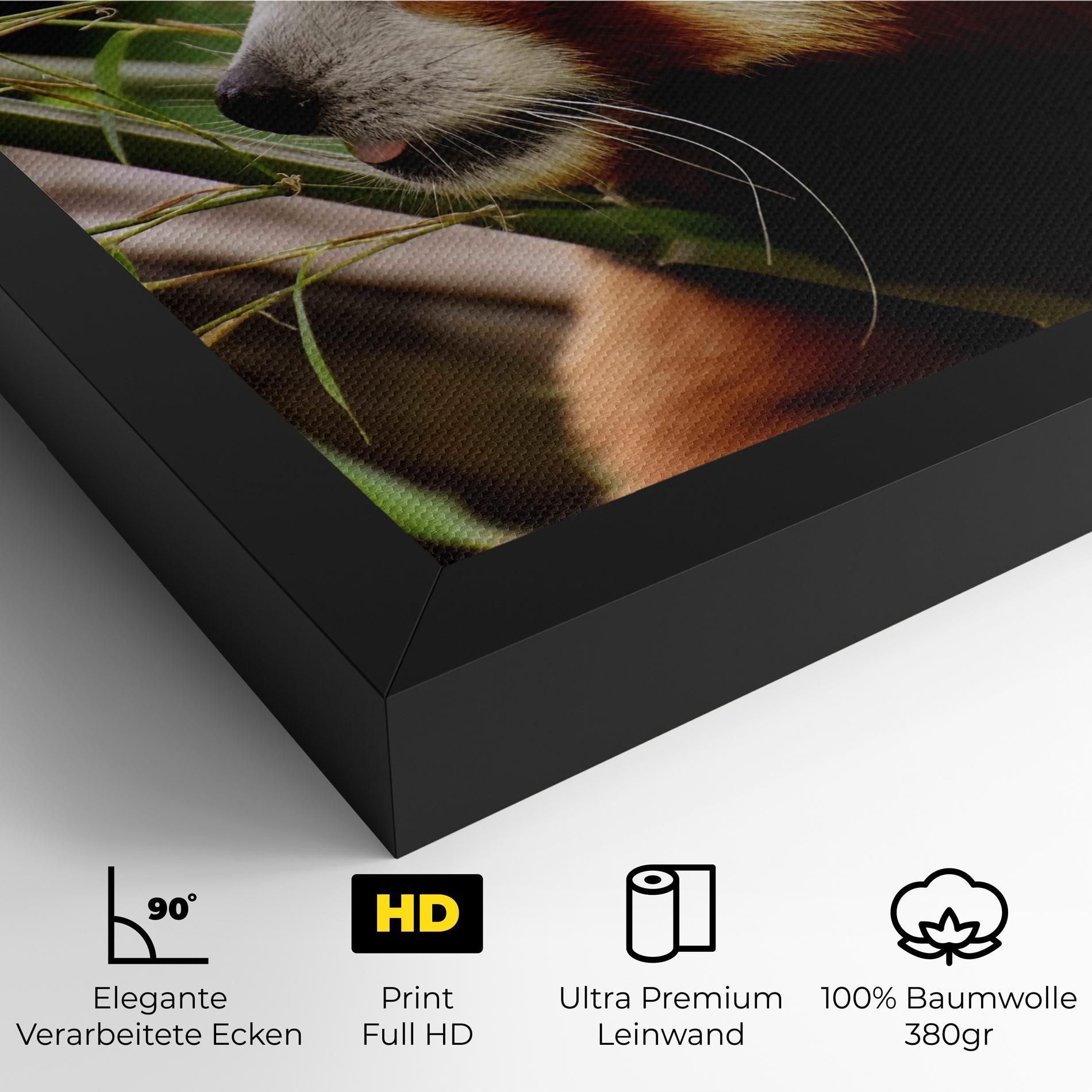 Leinwandbild Cute Red Panda mockup 4