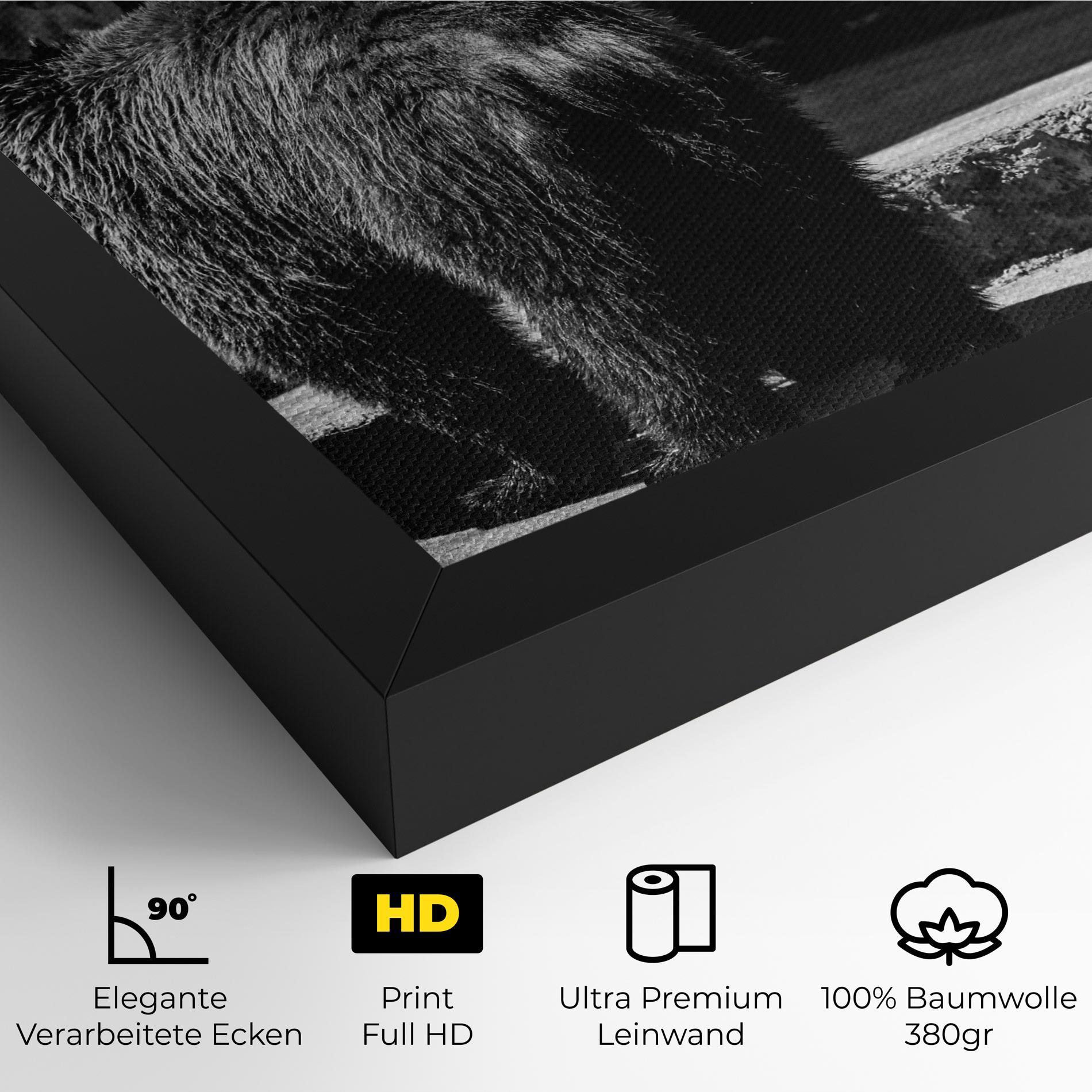 Leinwandbild Grey Bear mockup 4