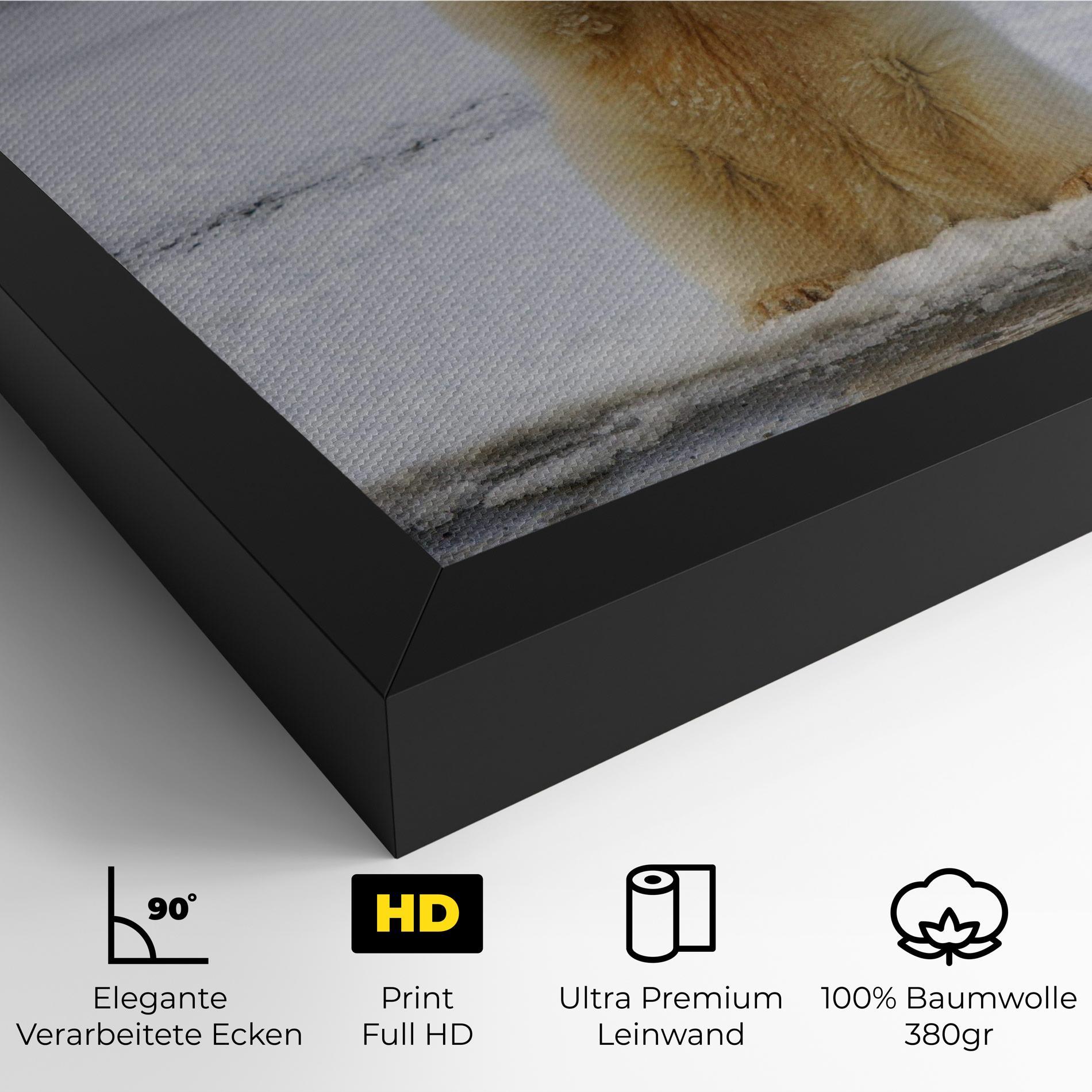 Leinwandbild Icebear Praying mockup 4