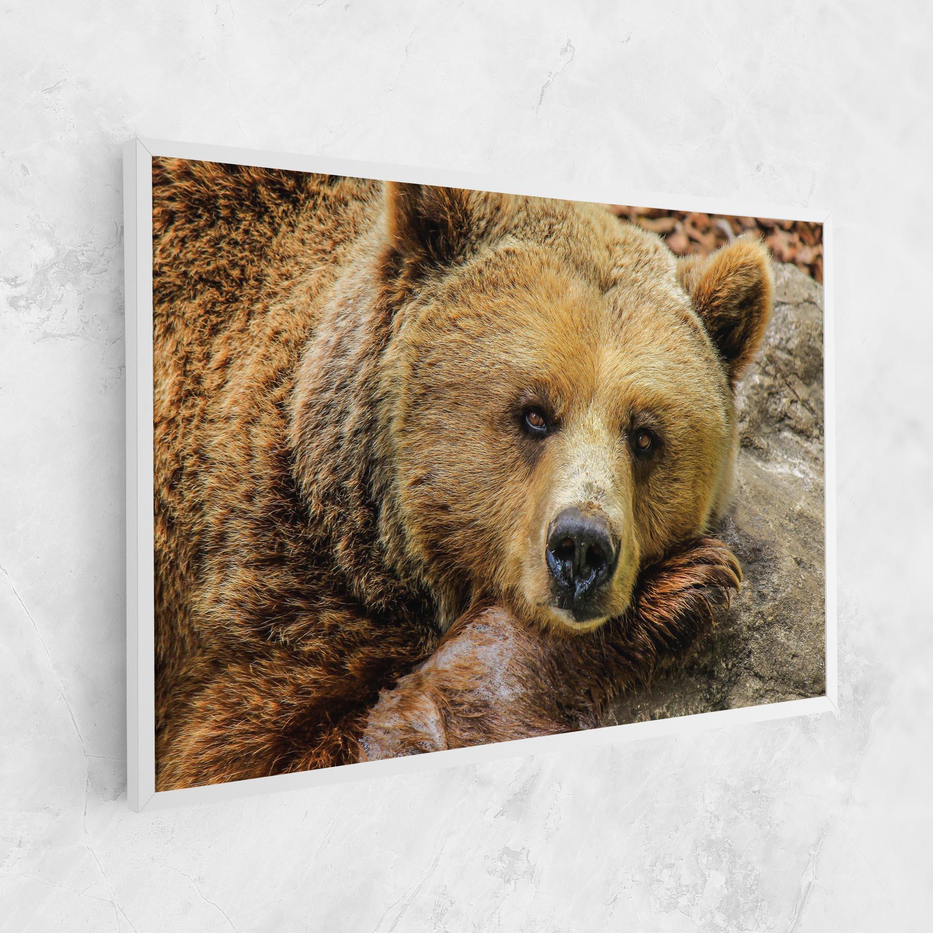 Leinwandbild Bear mockup 1