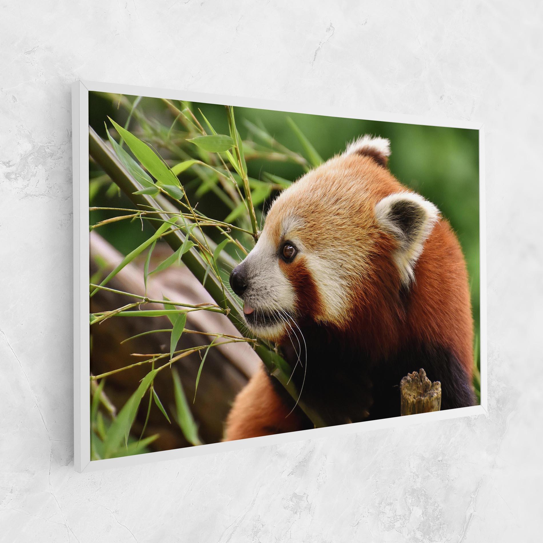 Leinwandbild Cute Red Panda mockup 1