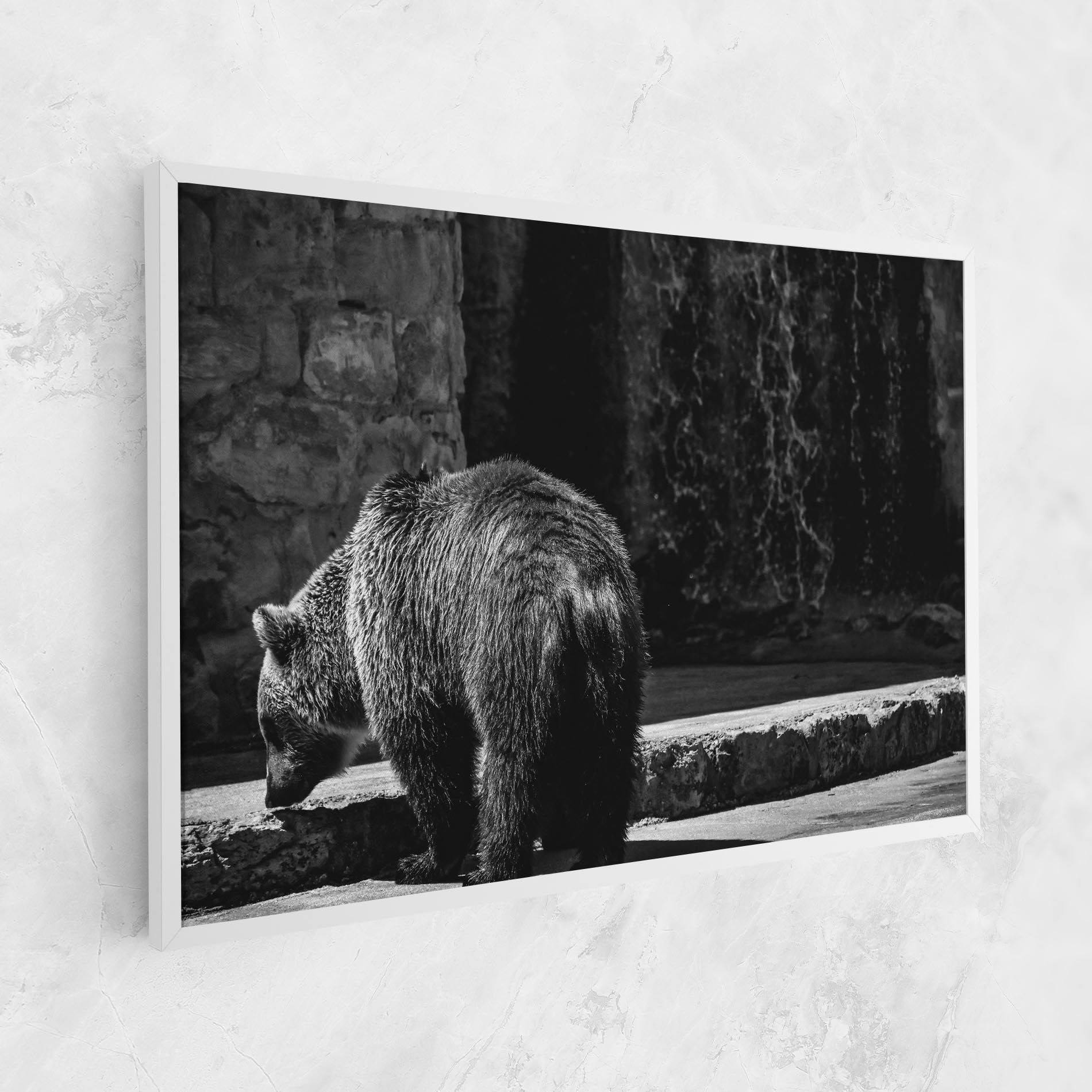 Grey Bear mockup 1