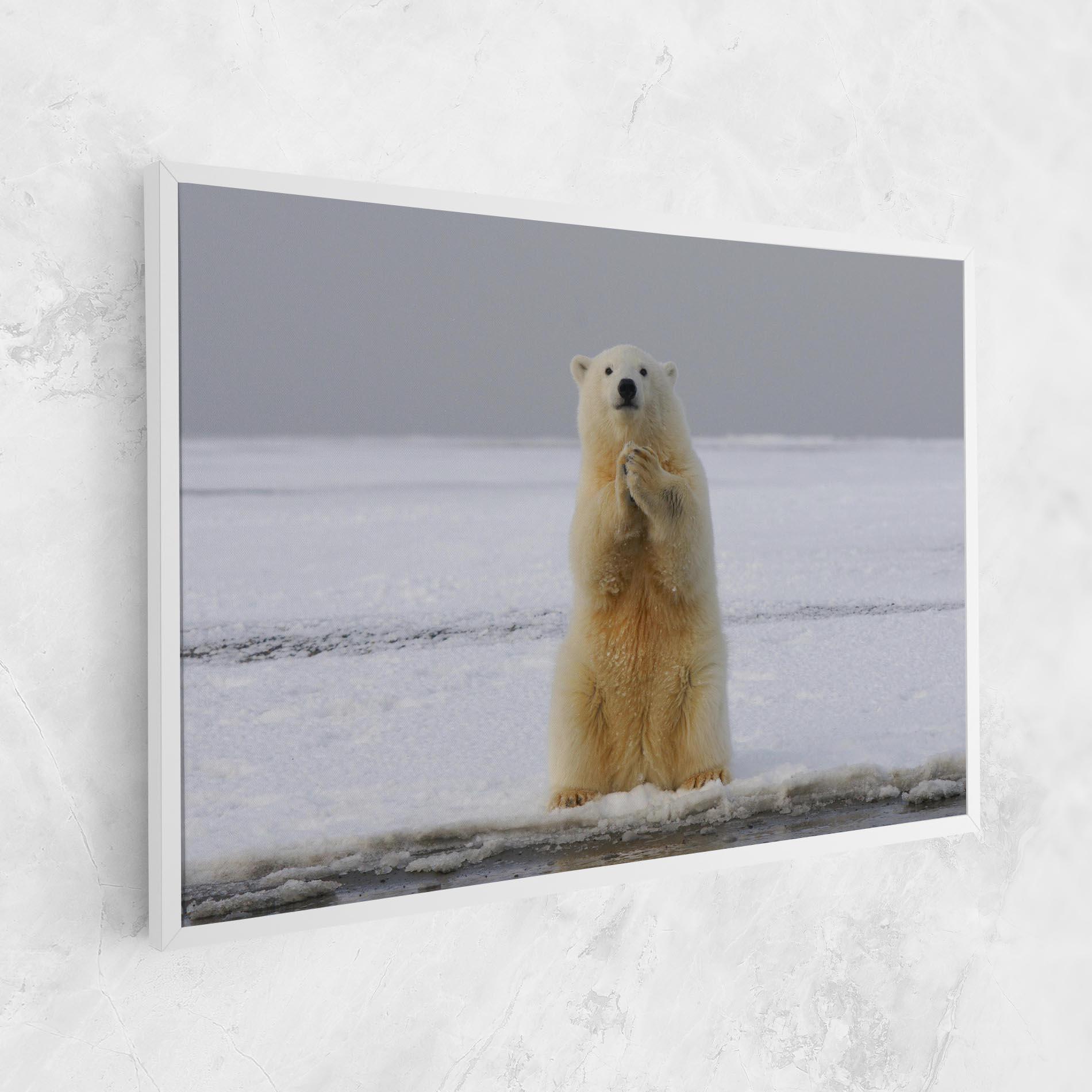 Leinwandbild Icebear Praying mockup 1