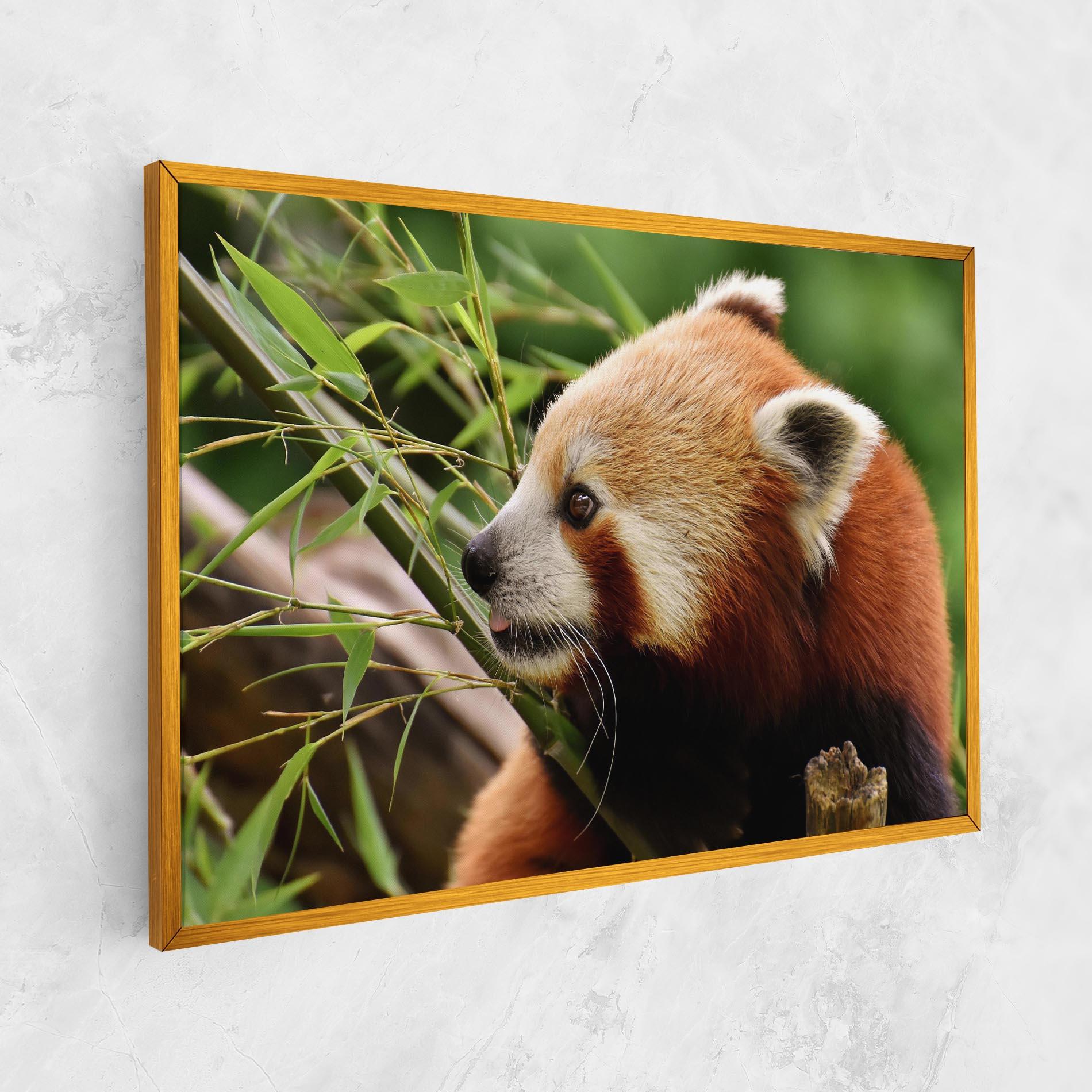 Leinwandbild Cute Red Panda mockup 1