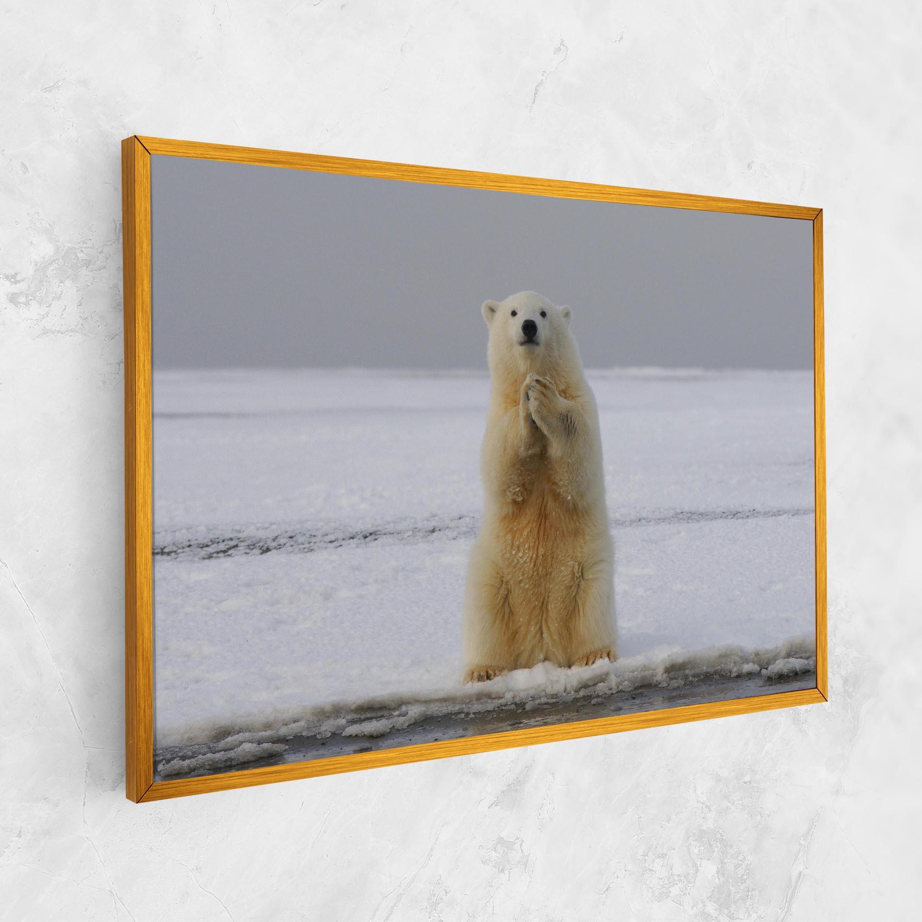 Leinwandbild Icebear Praying mockup 1