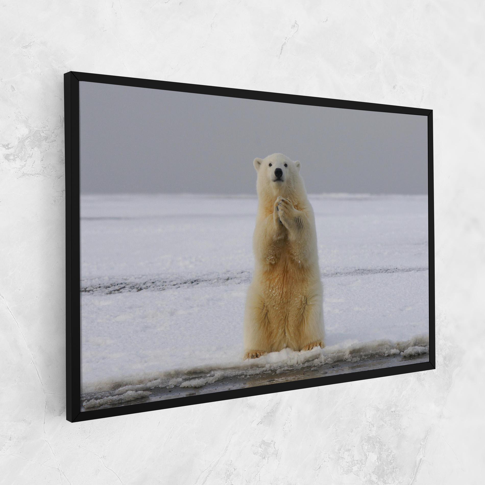 Leinwandbild Icebear Praying mockup 1