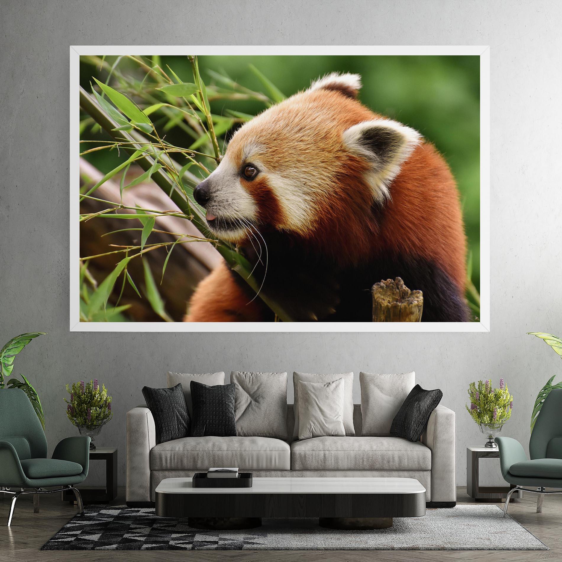 Leinwandbild Cute Red Panda mockup 7