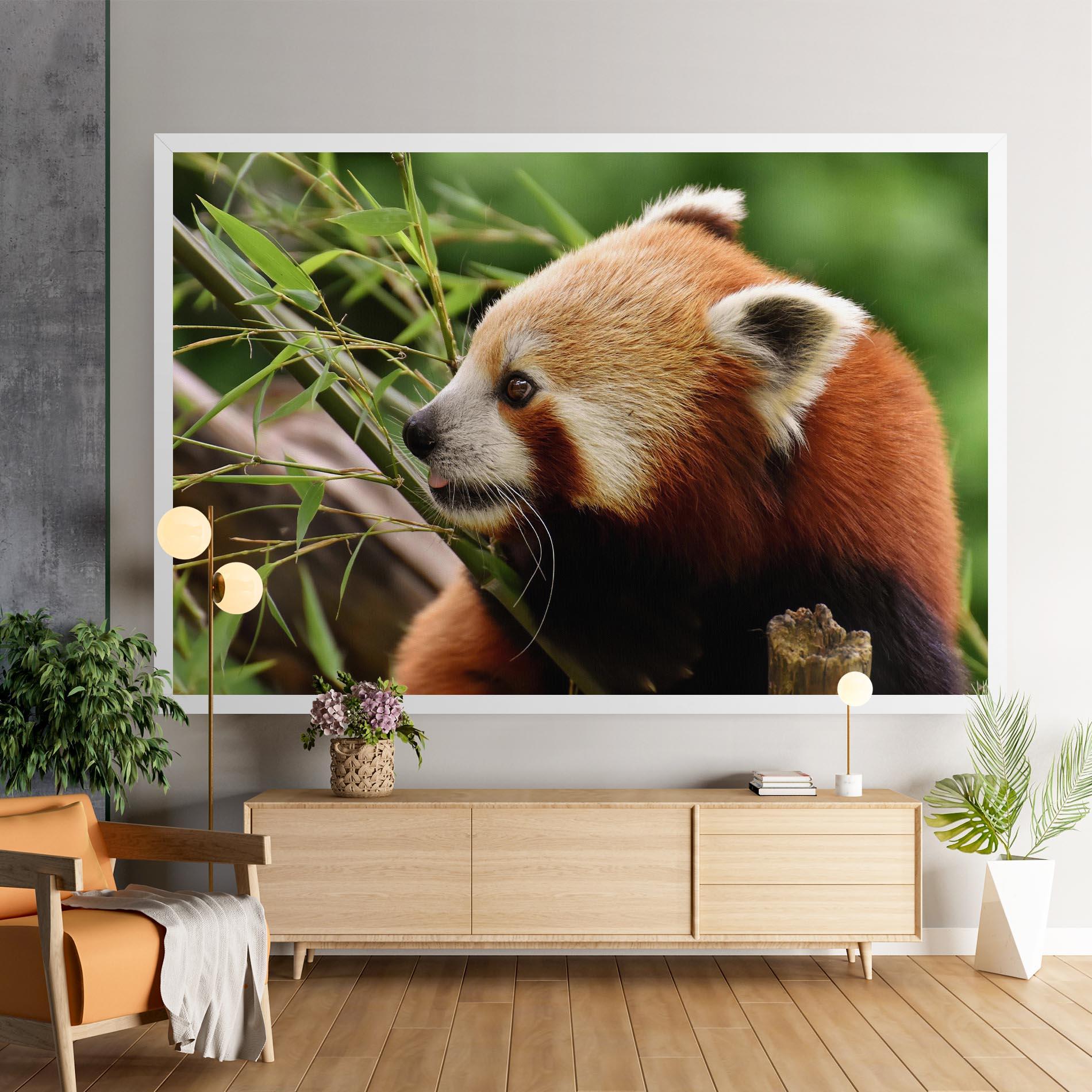 Leinwandbild Cute Red Panda mockup 9