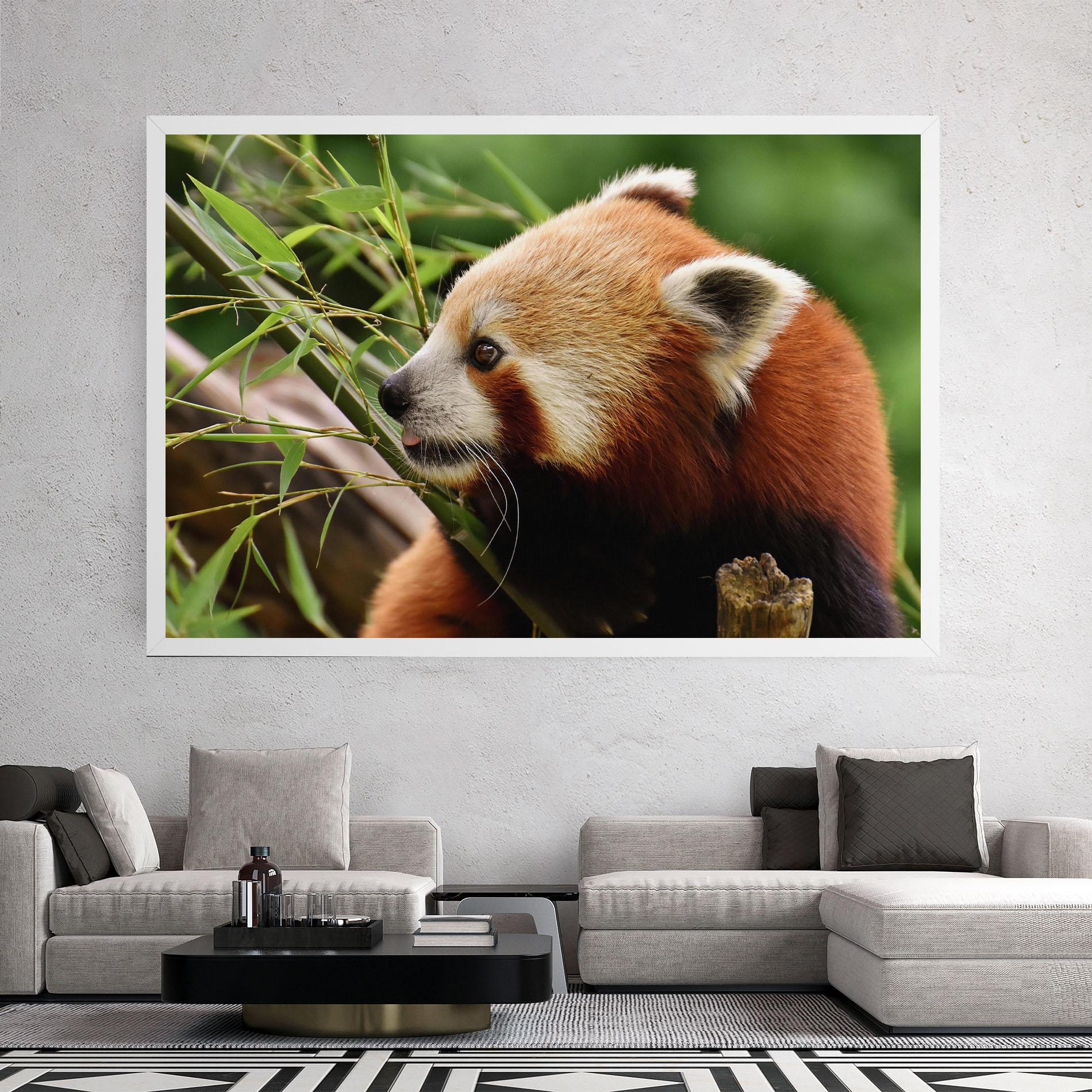 Leinwandbild Cute Red Panda mockup 2
