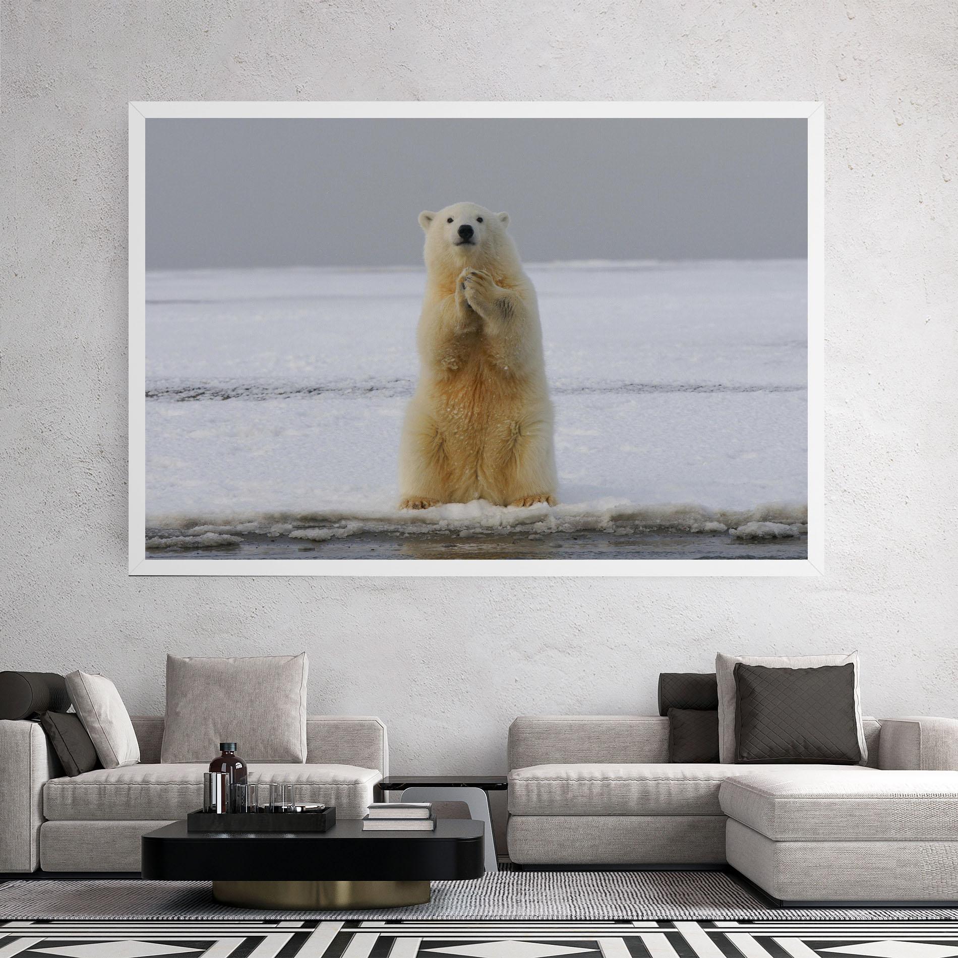 Leinwandbild Icebear Praying mockup 2
