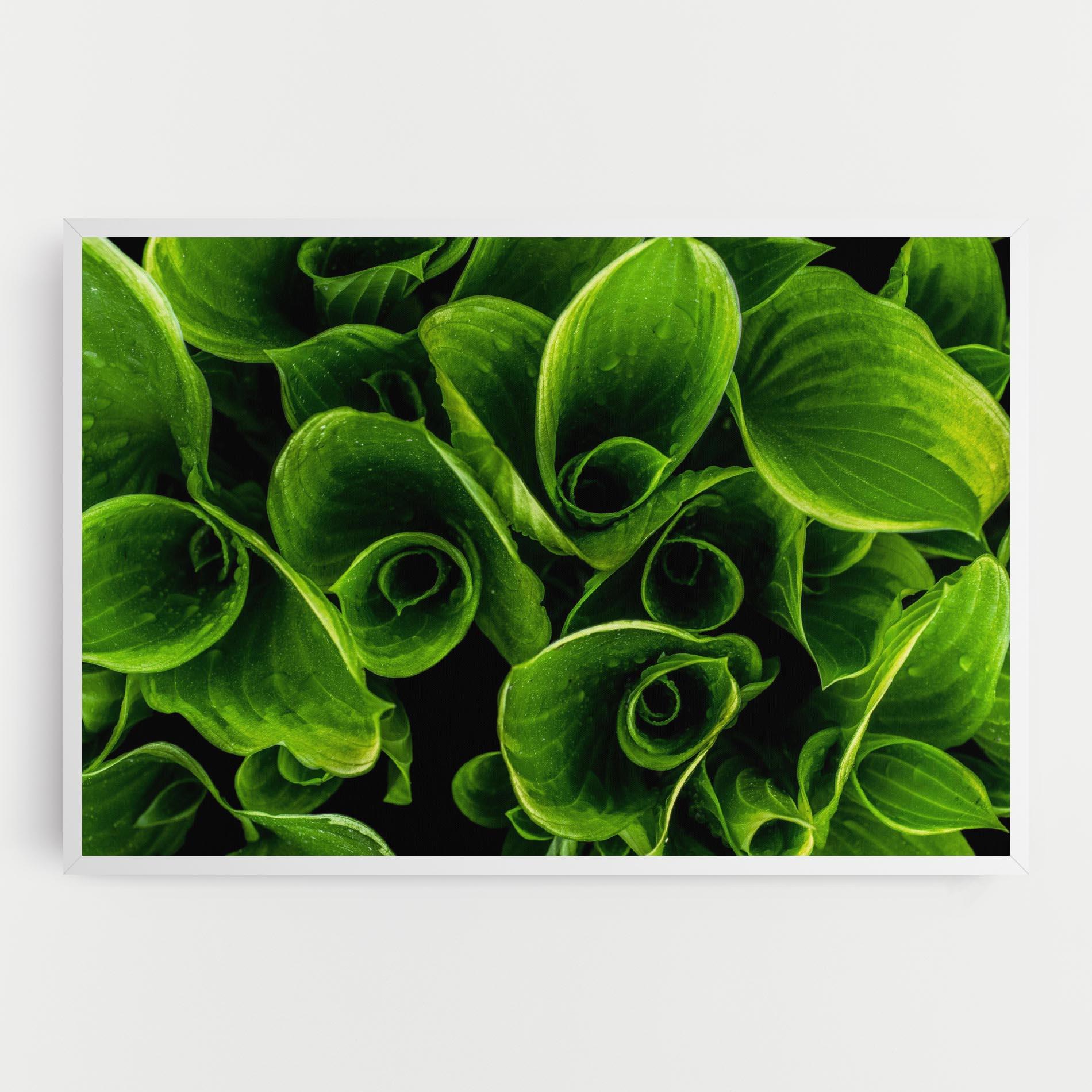 Leinwandbild Green Nature View mockup 0