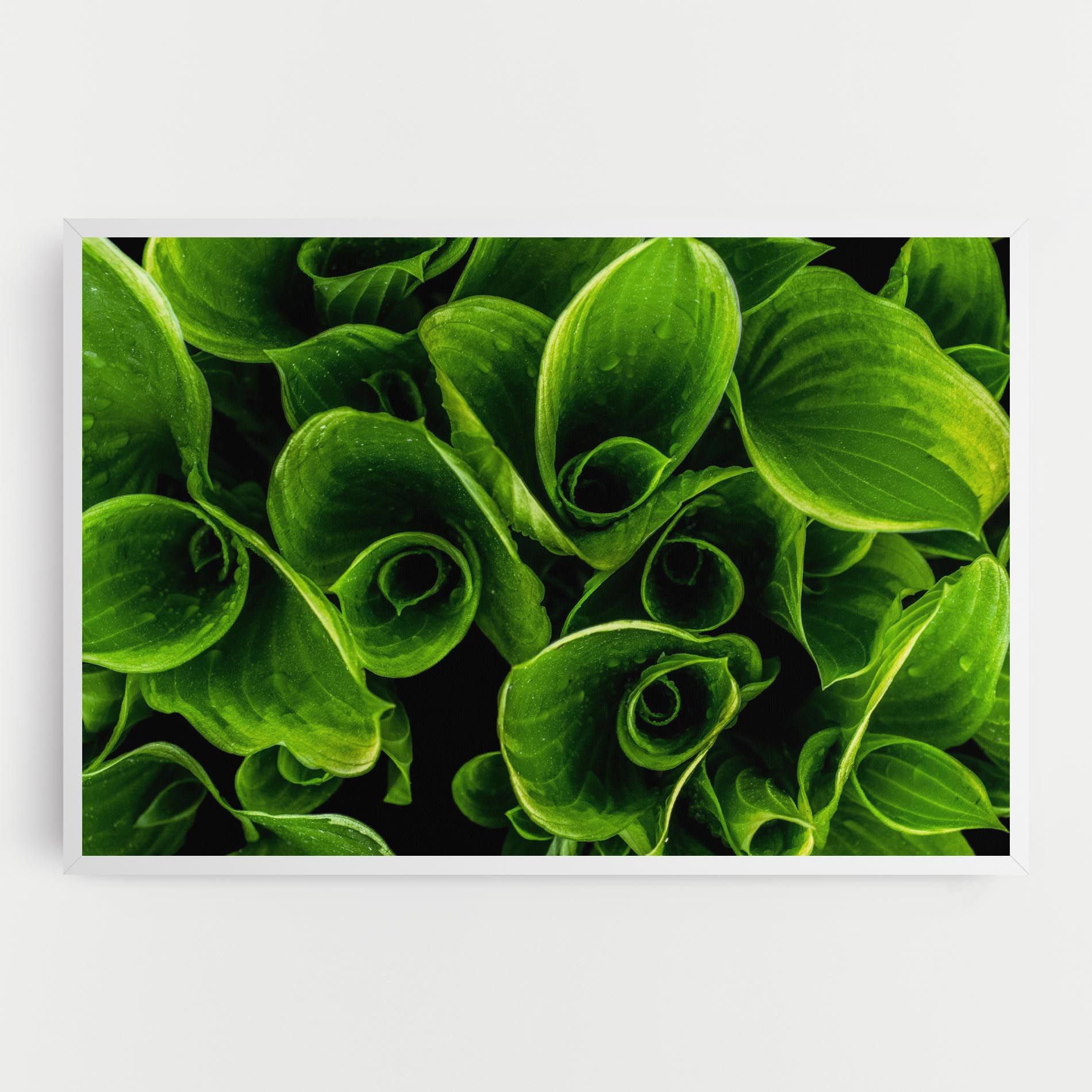 Green Nature View mockup 0