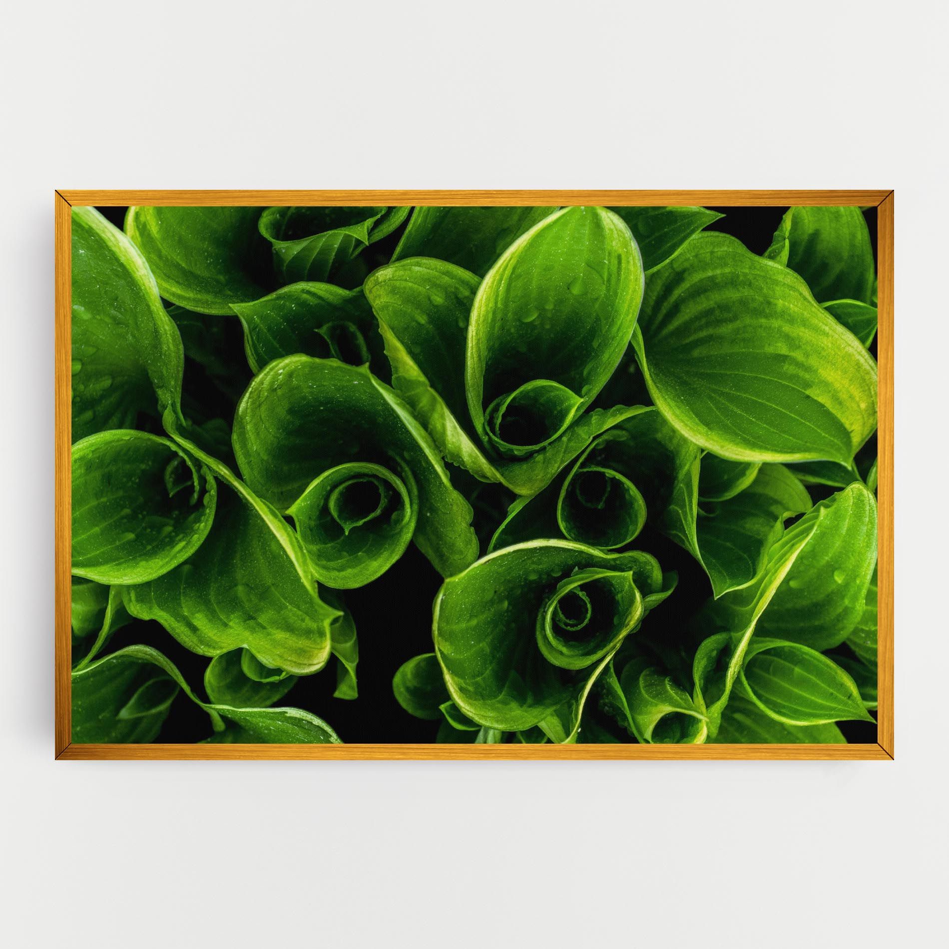 Green Nature View mockup 0