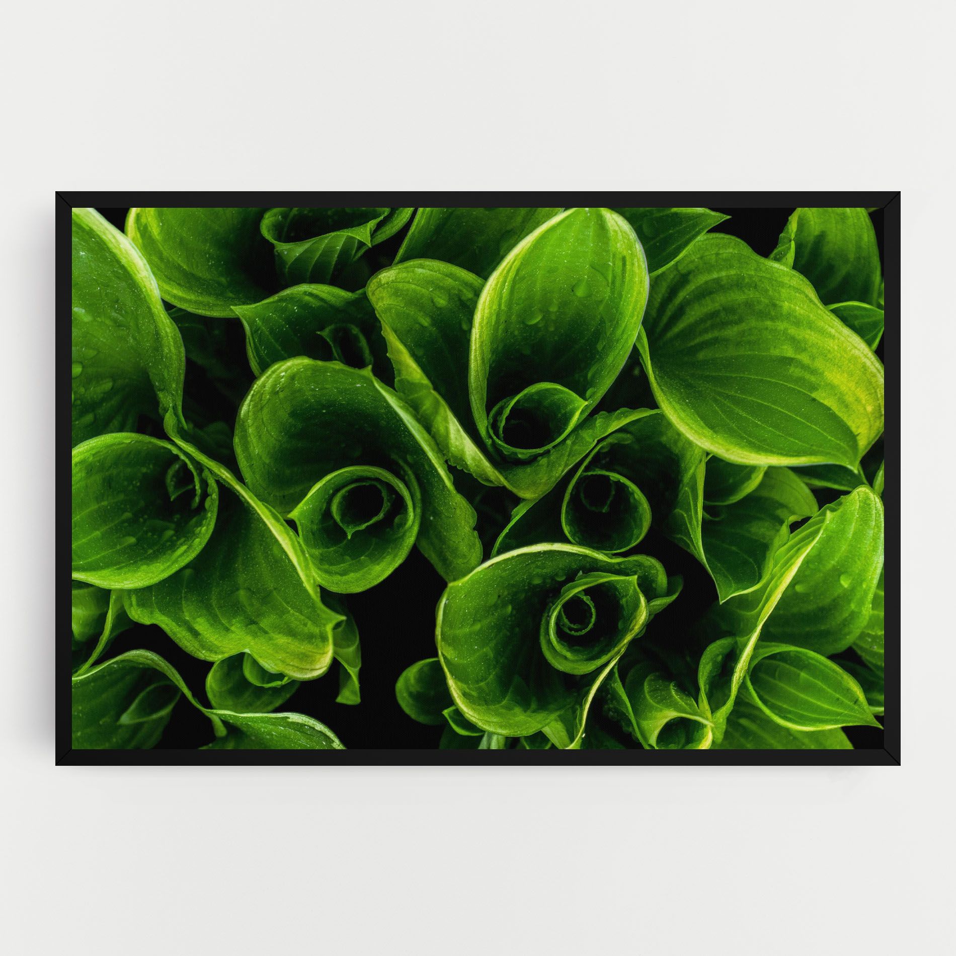 Green Nature View mockup 0