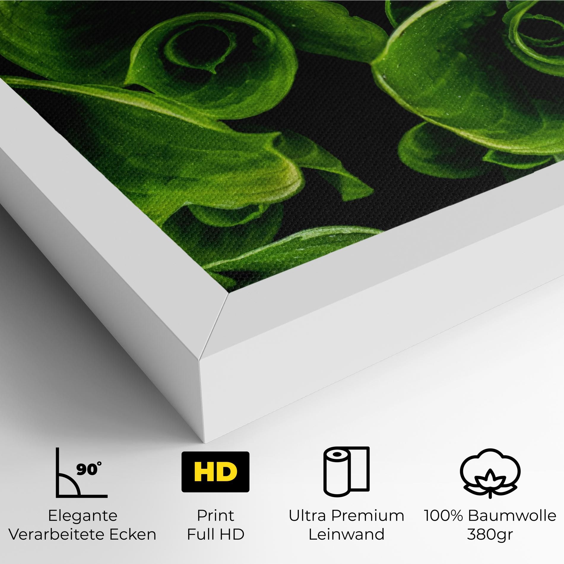 Green Nature View mockup 4