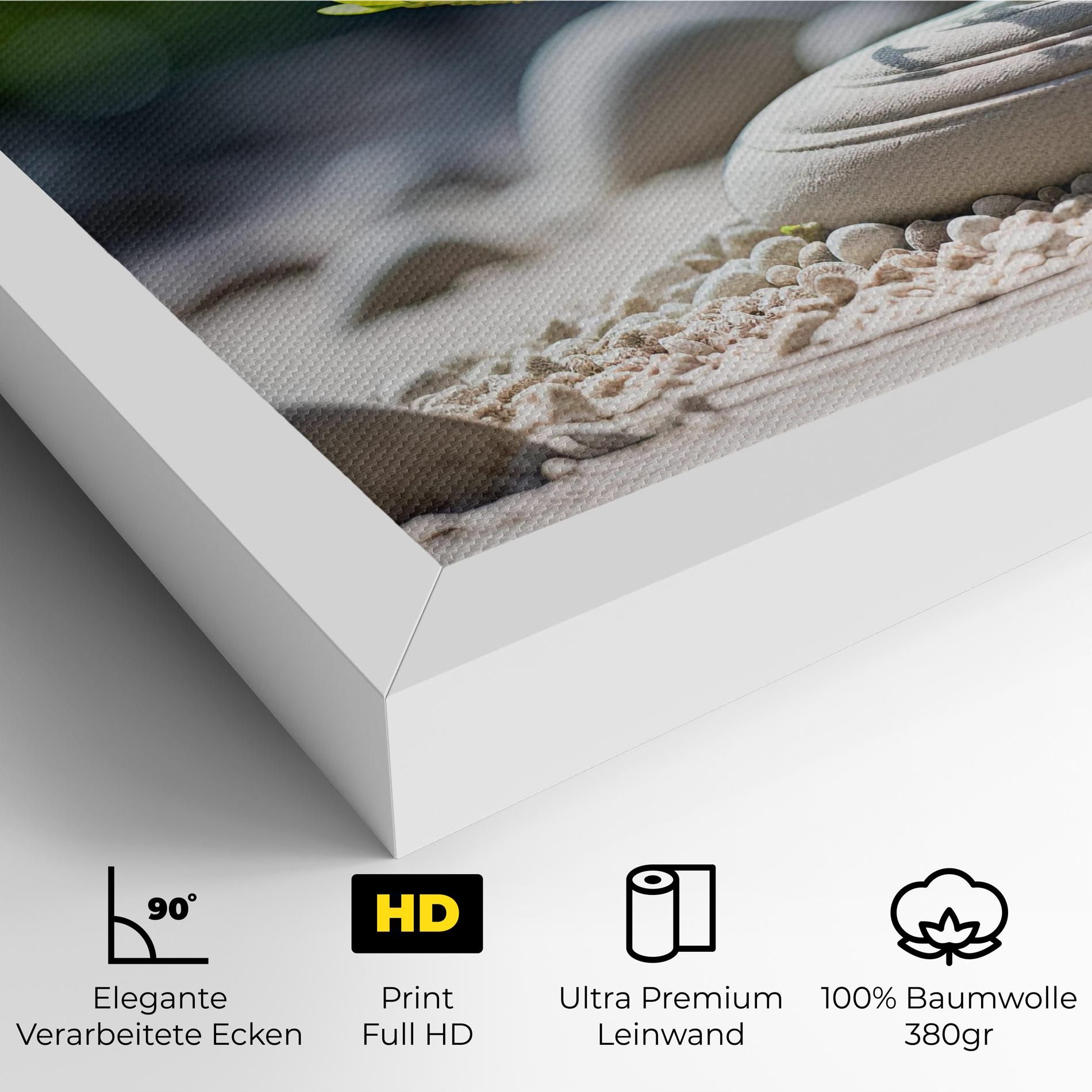 White Pebbles Plants mockup 4