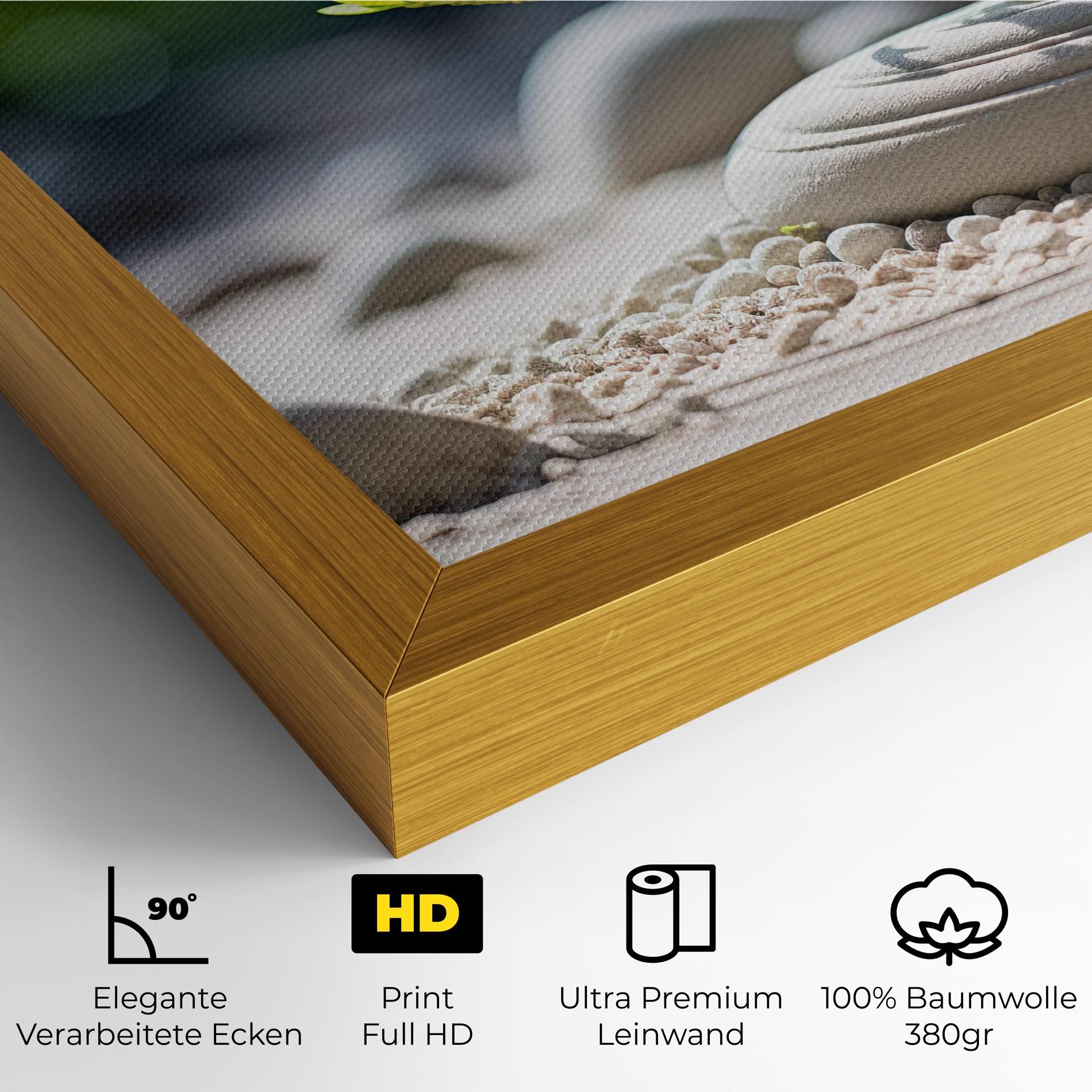 White Pebbles Plants mockup 4