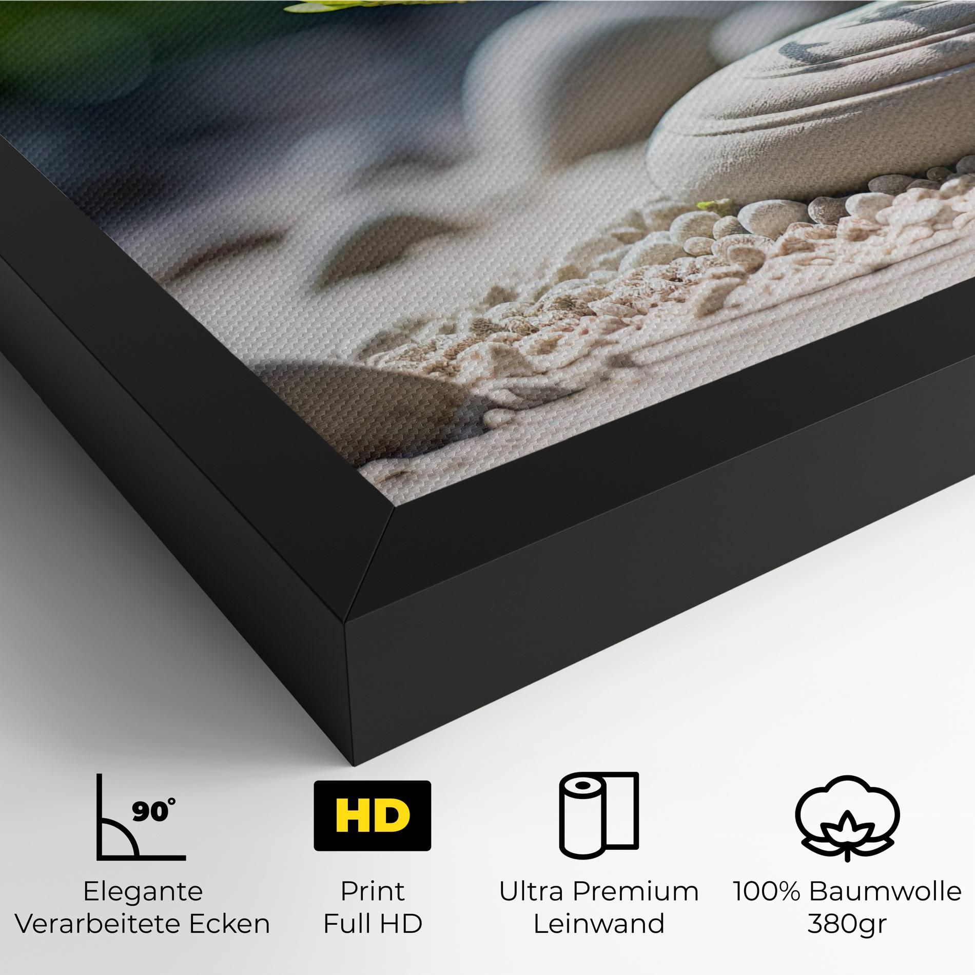 White Pebbles Plants mockup 4