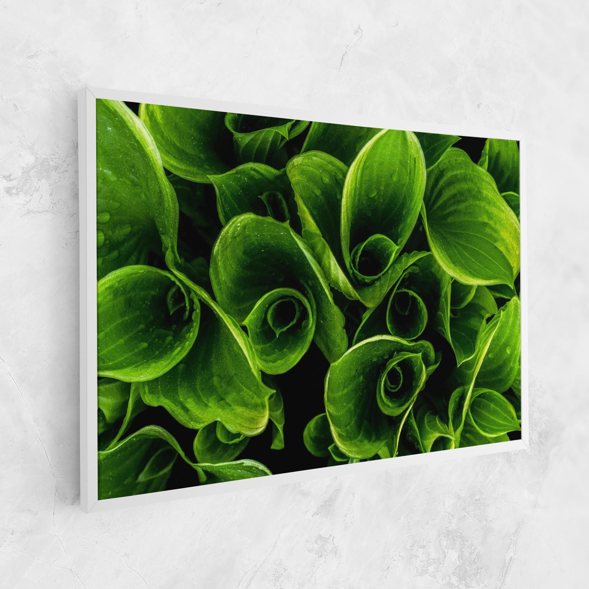 Green Nature View mockup 1