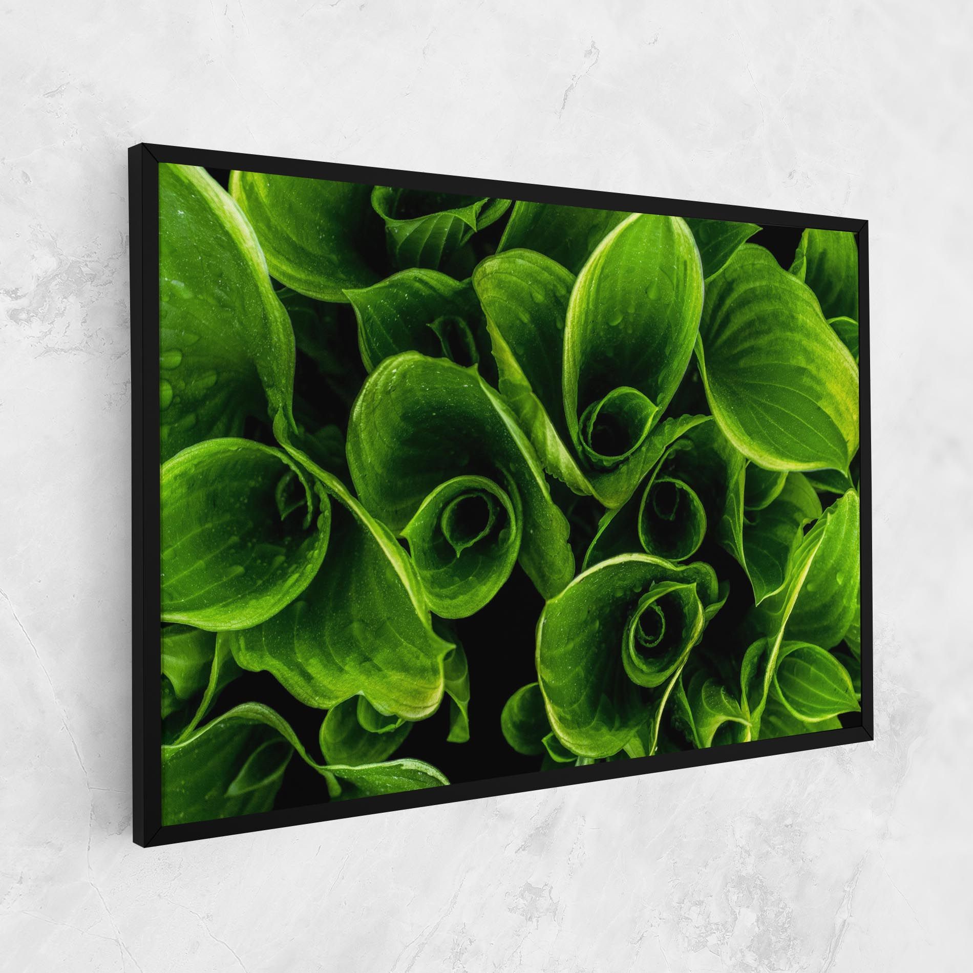 Green Nature View mockup 1