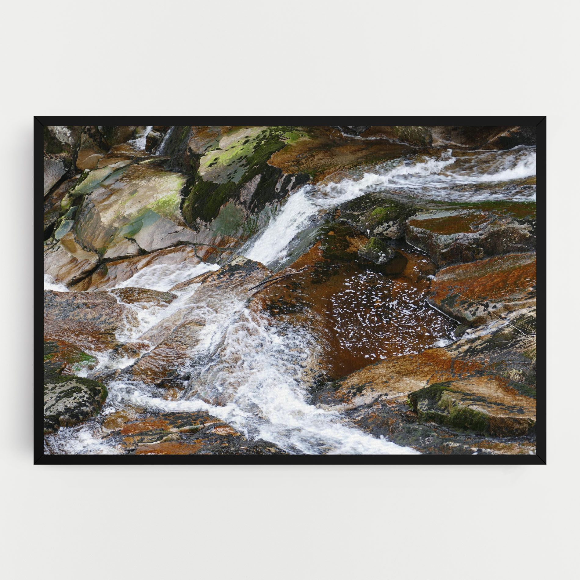 Forest Peace mockup 0