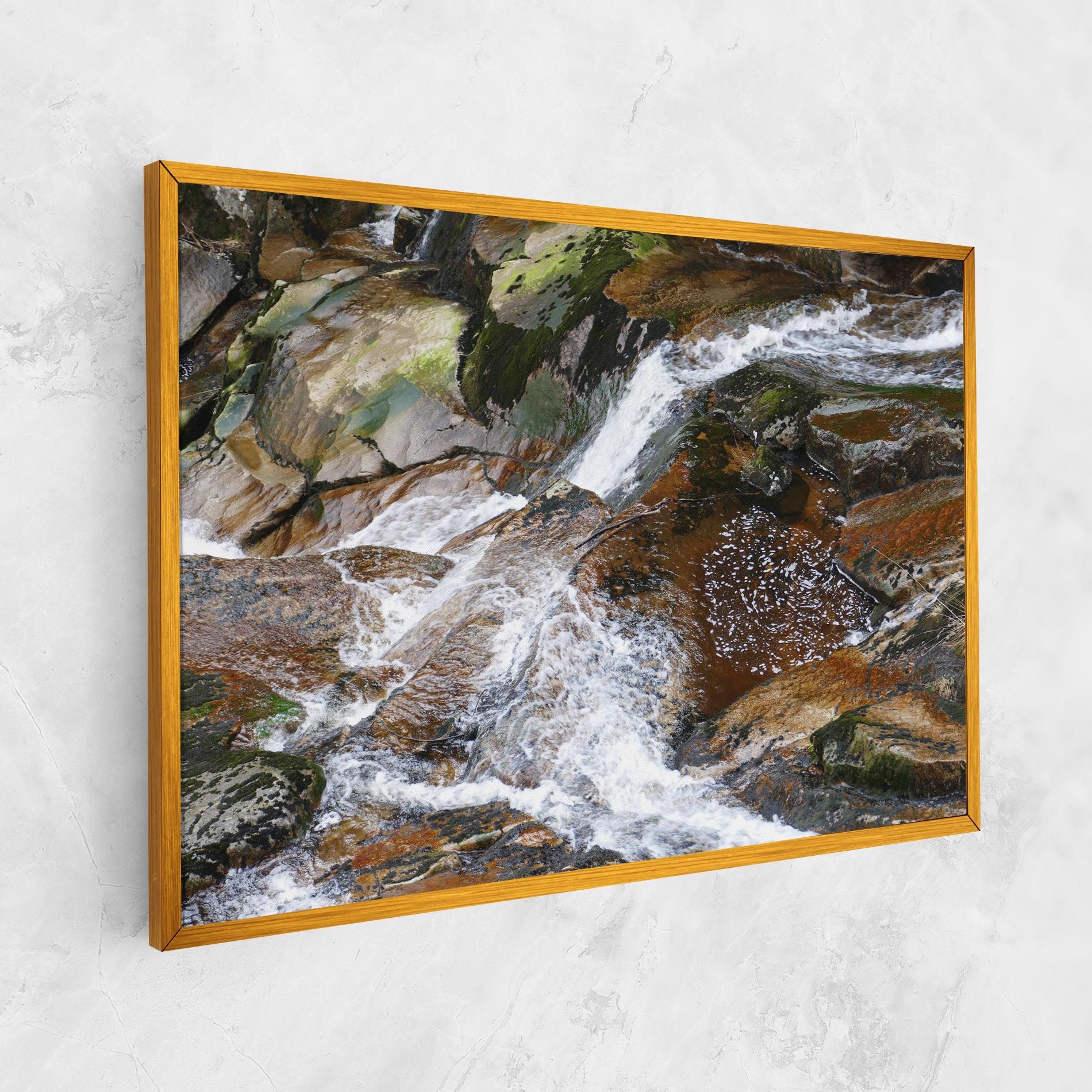 Forest Peace mockup 1