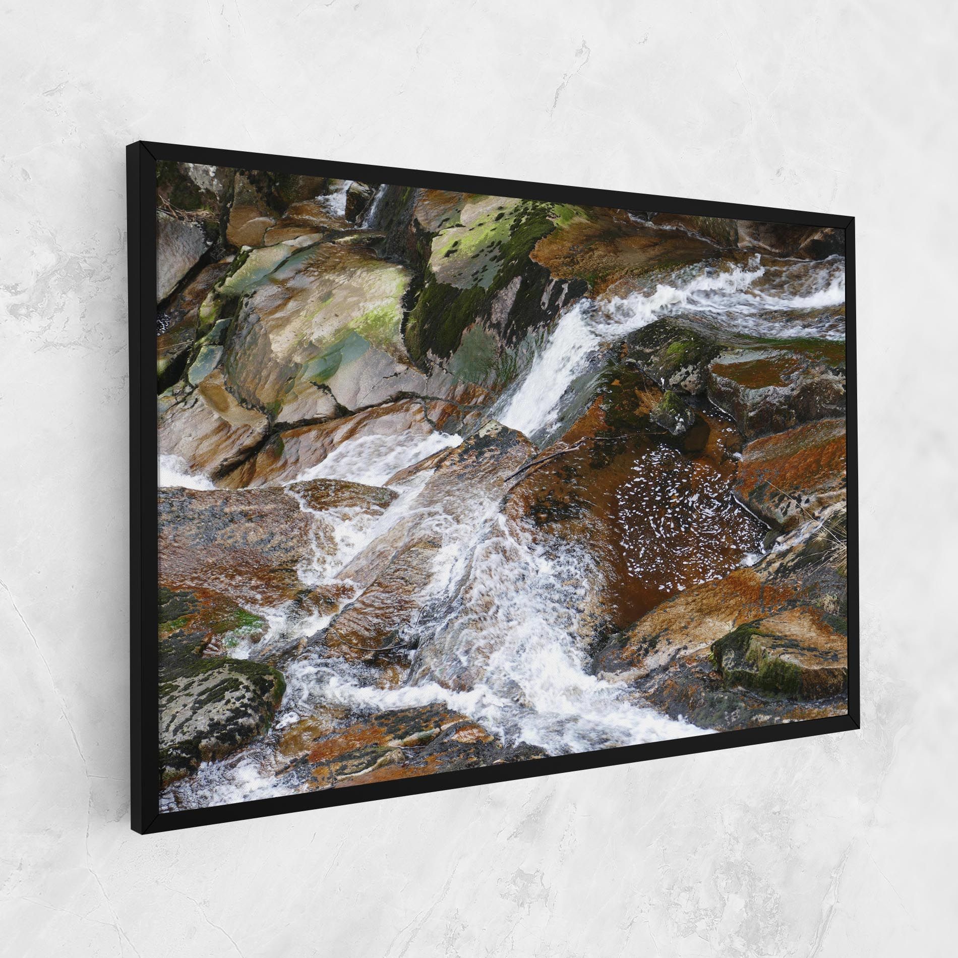 Forest Peace mockup 1