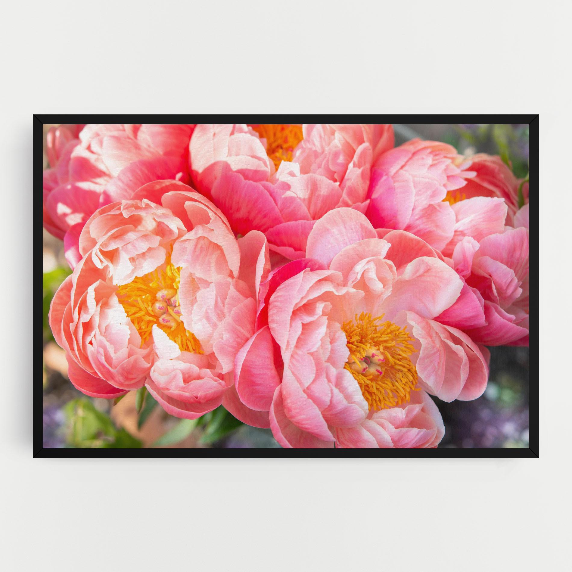 Leinwandbild Opened Peonies Bouquet mockup 0