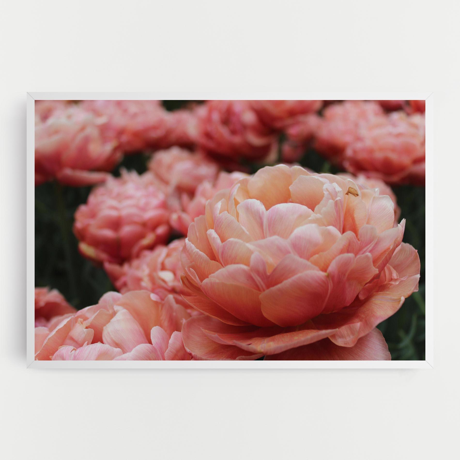 Leinwandbild Light Orange Peony mockup 0