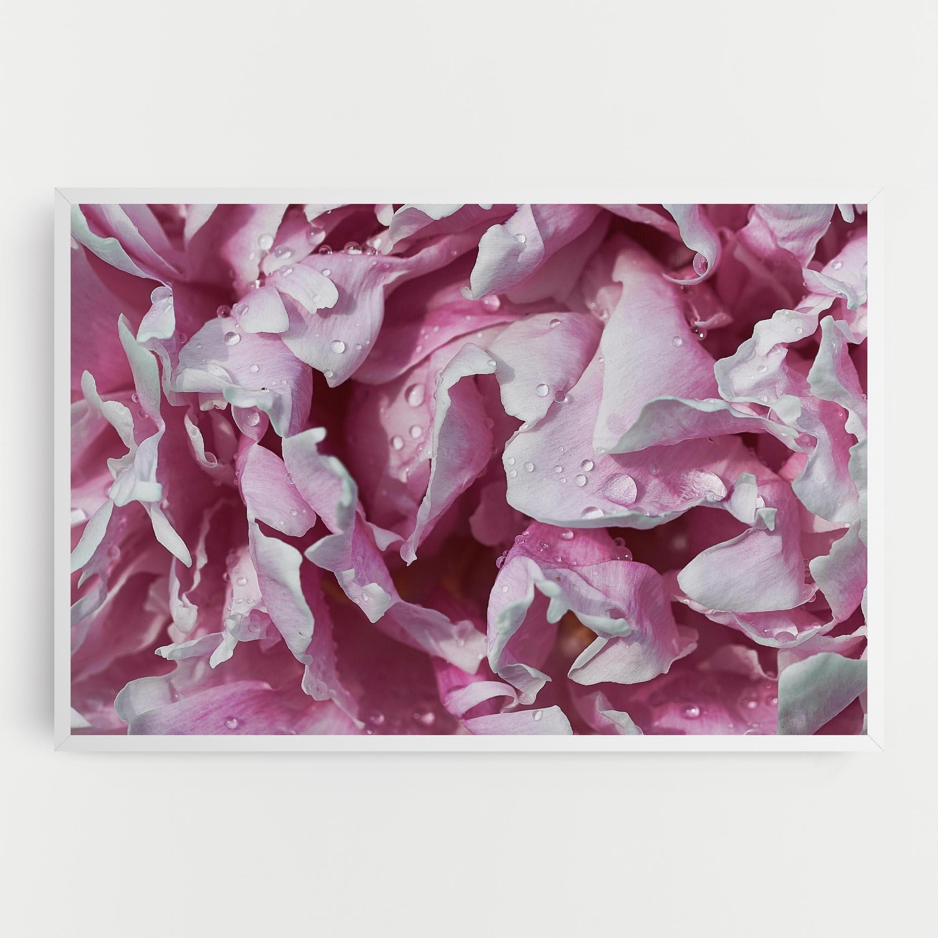 Leinwandbild Peony Petals mockup 0