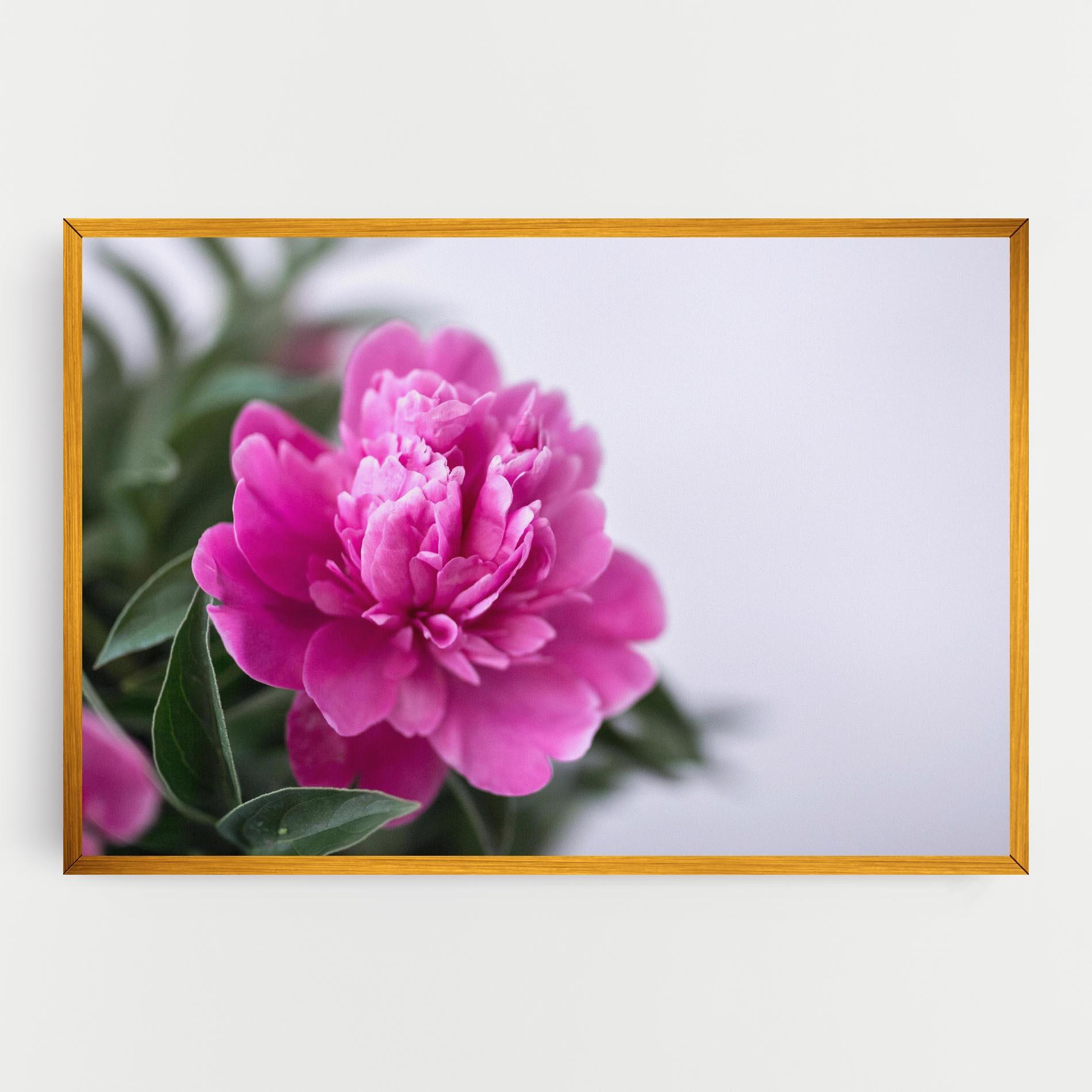Leinwandbild Dark Pink Peony mockup 0