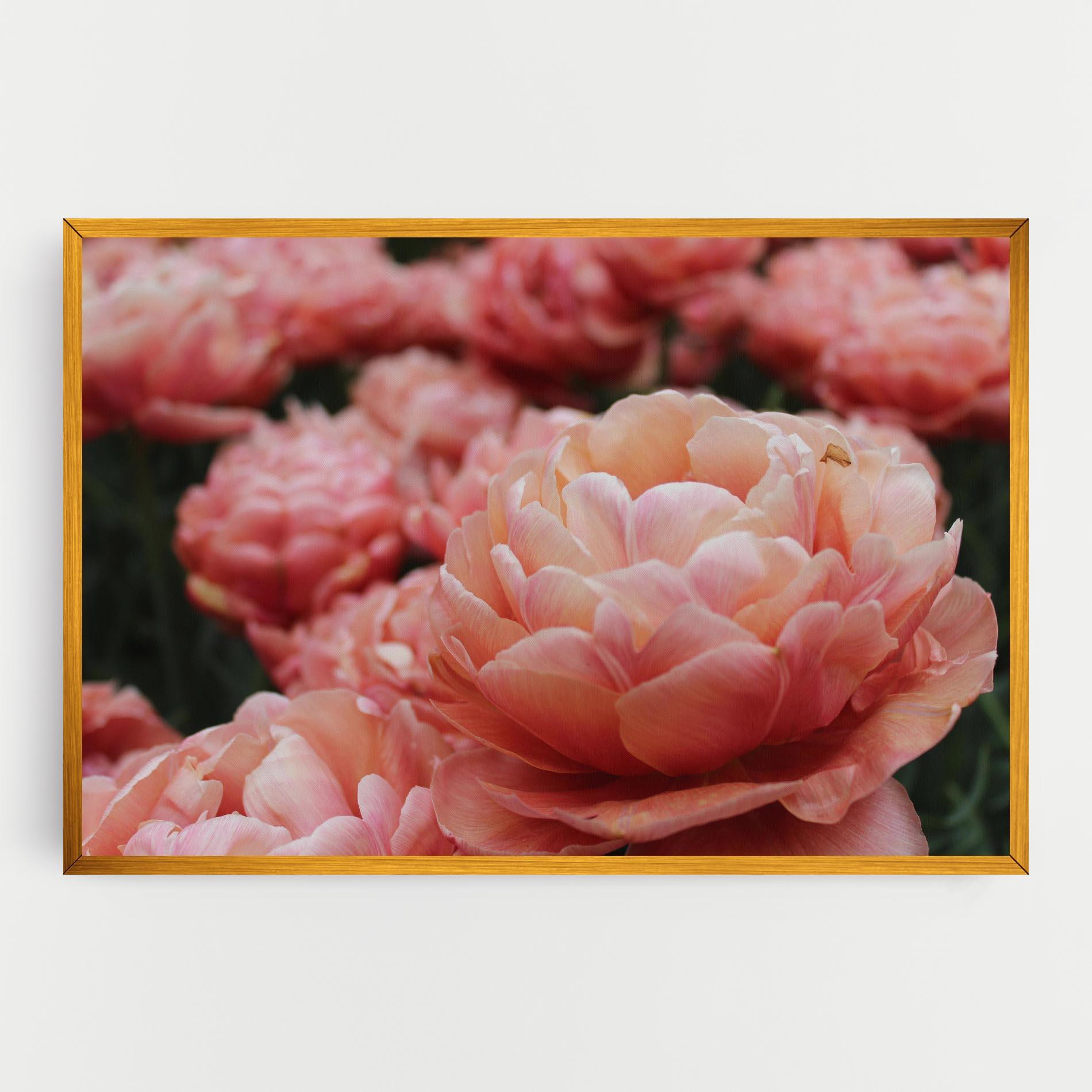 Leinwandbild Light Orange Peony mockup 0