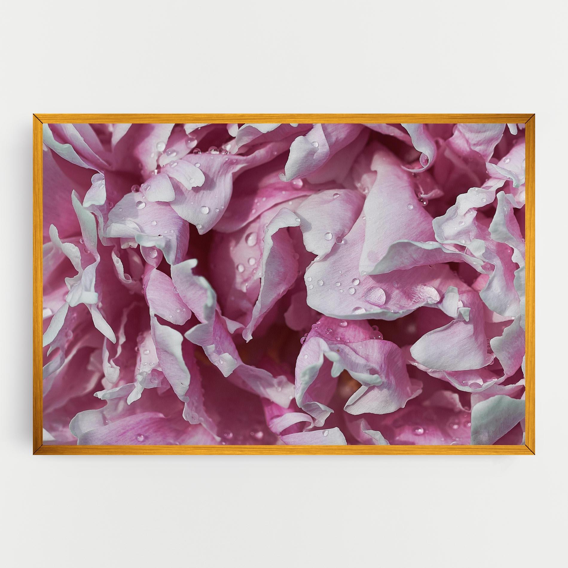 Leinwandbild Peony Petals mockup 0