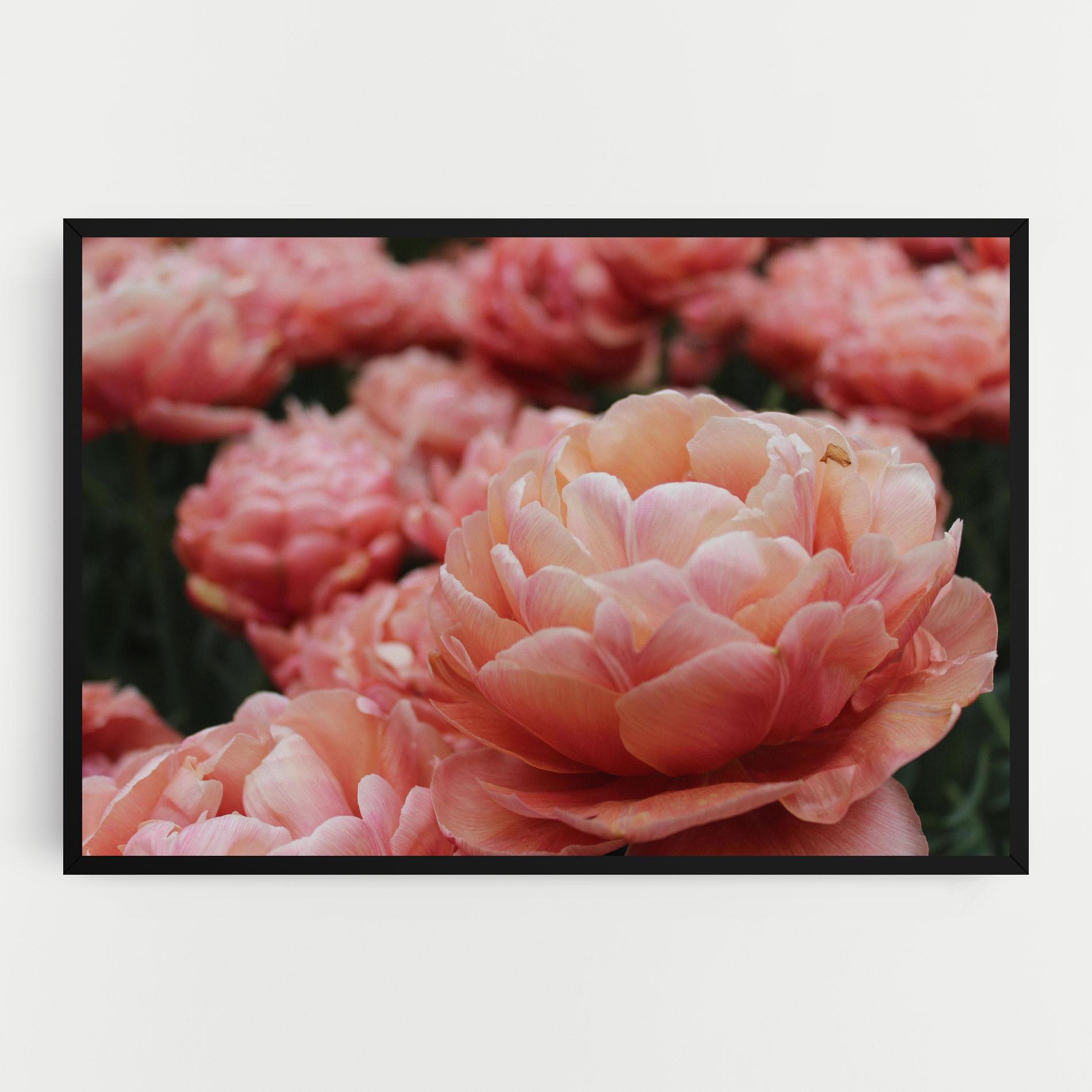 Leinwandbild Light Orange Peony mockup 0