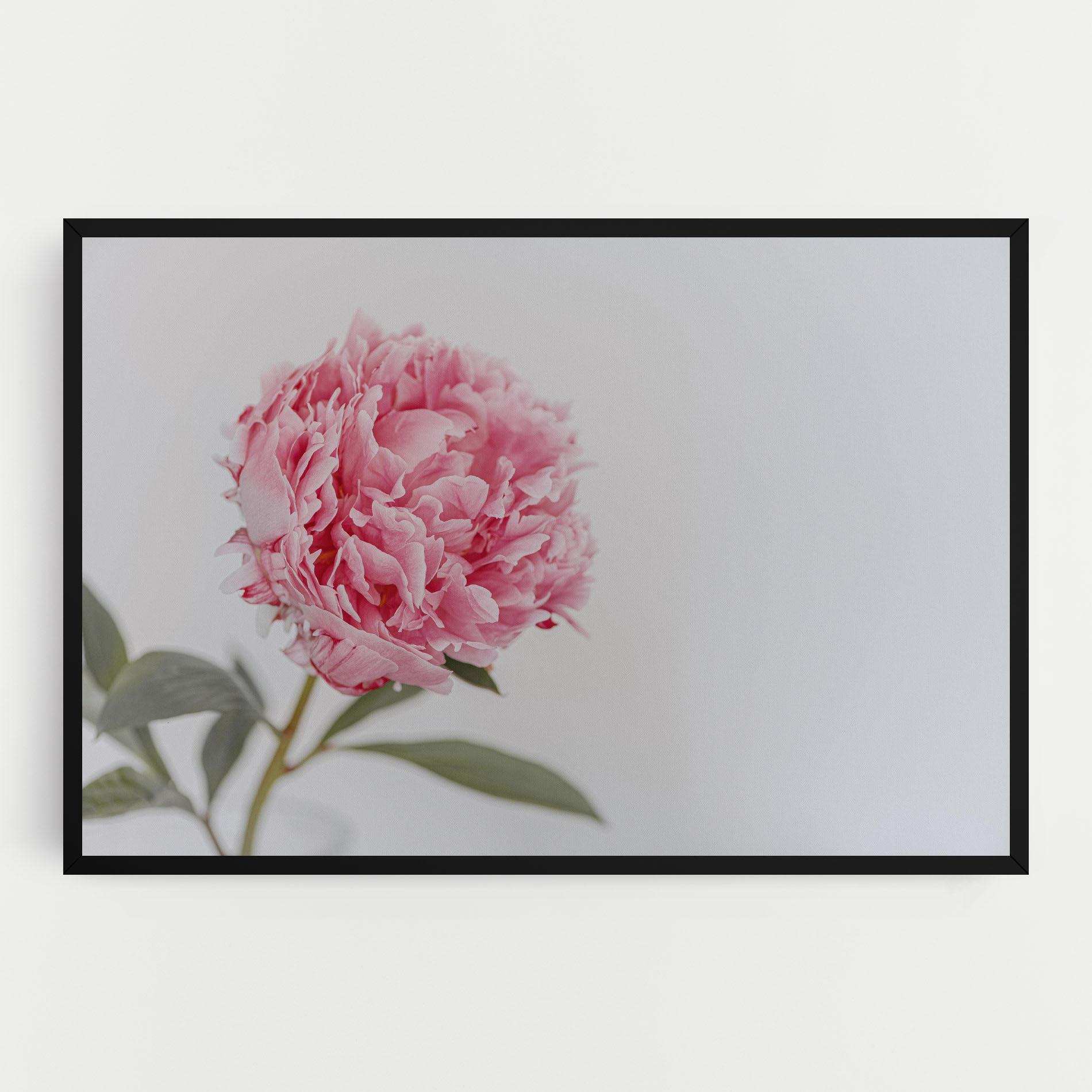 Leinwandbild One Peony mockup 0