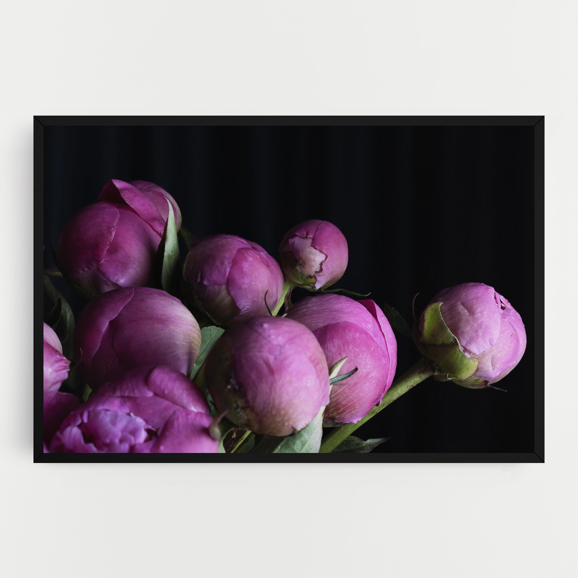 Peony Buds mockup 0