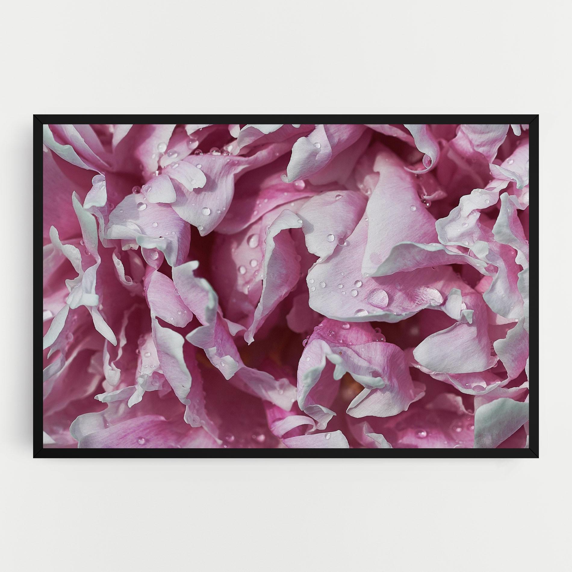 Leinwandbild Peony Petals mockup 0