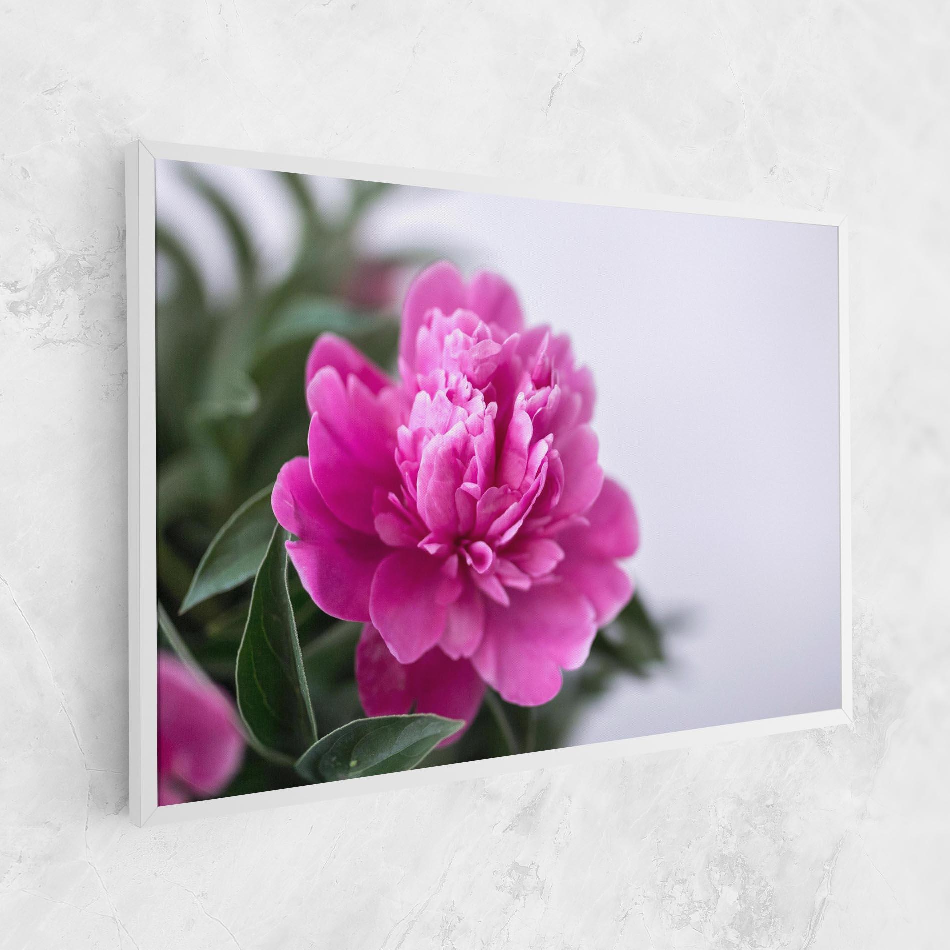 Leinwandbild Dark Pink Peony mockup 1