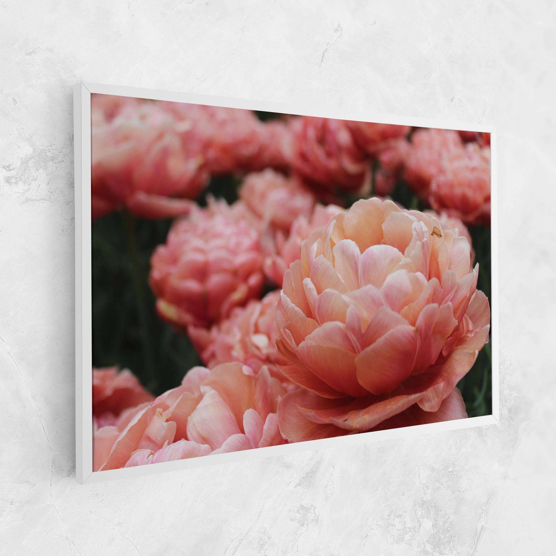Leinwandbild Light Orange Peony mockup 1